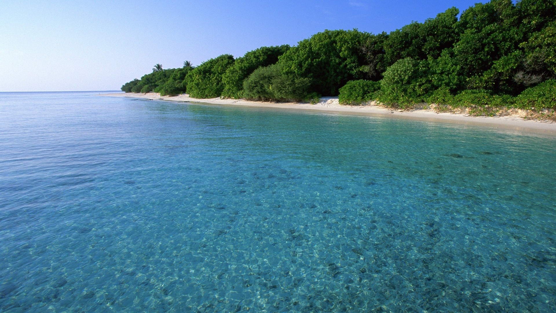 мальдив, курорт