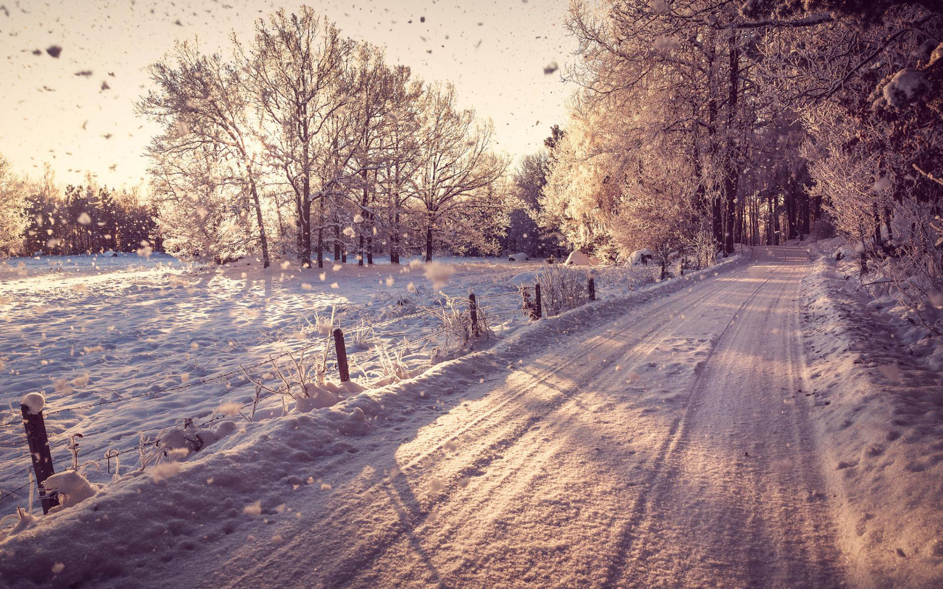 дорога снег лес road snow forest скачать