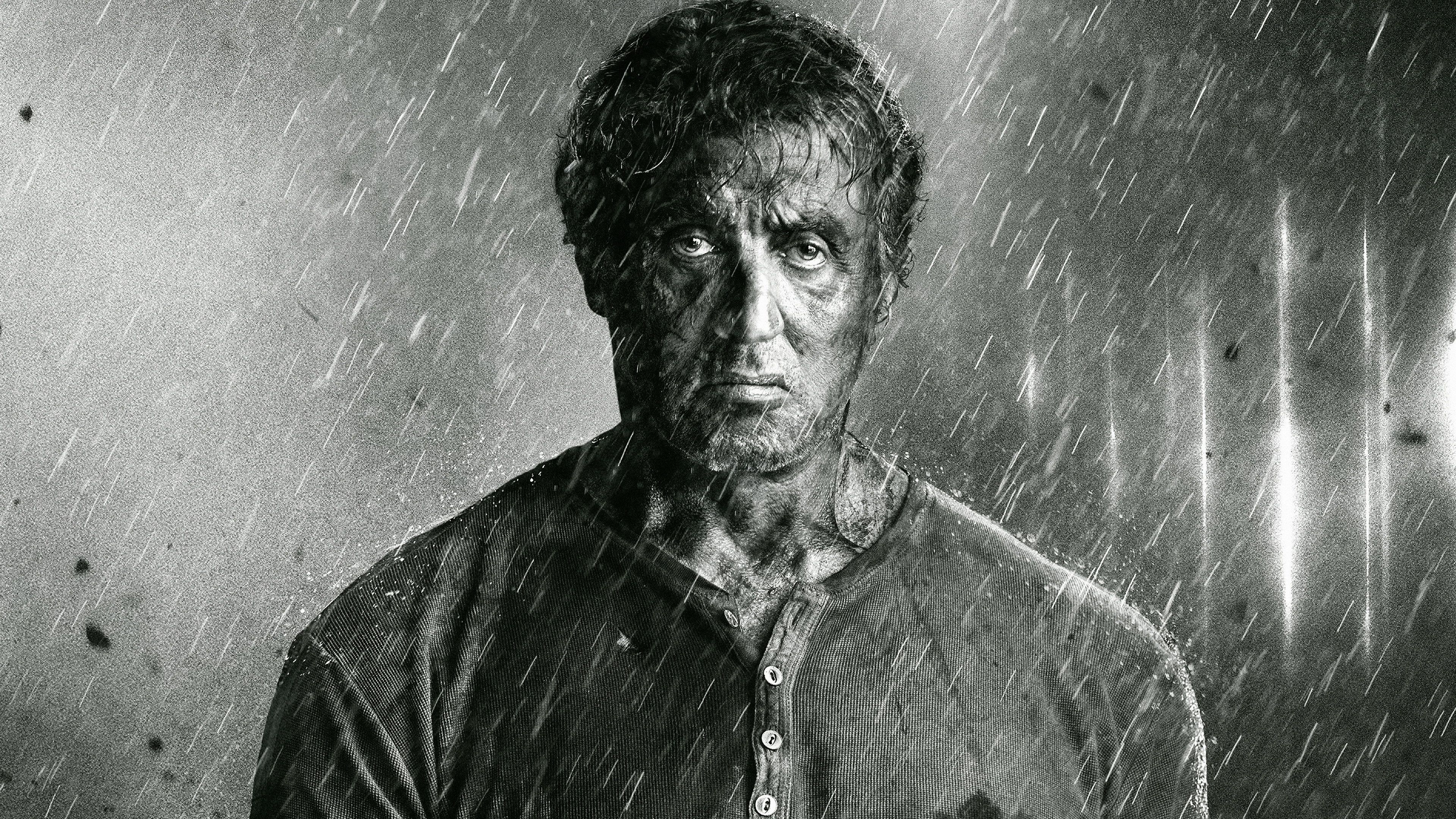 sylvester, stallone, stallon