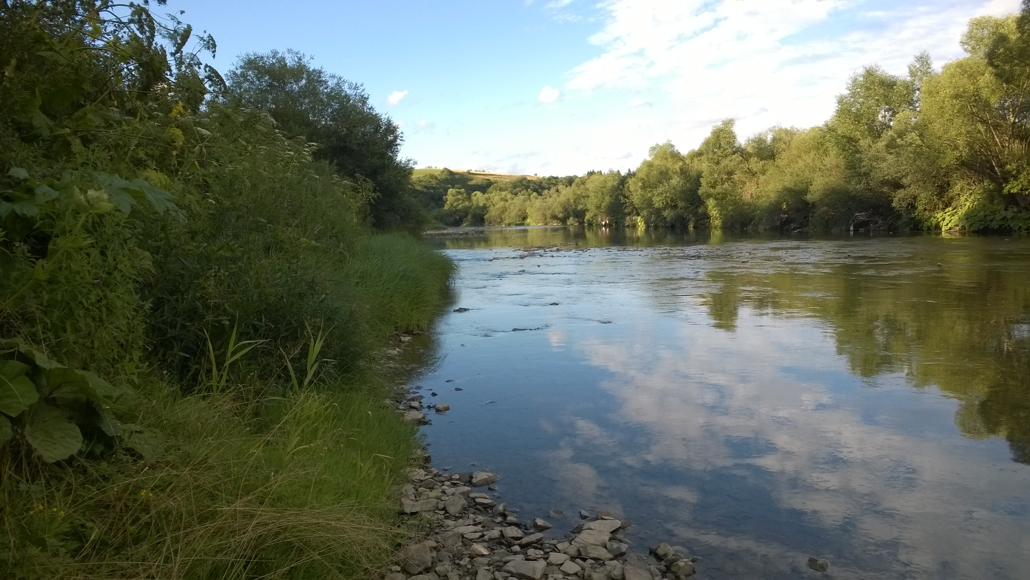 викимедий, королевская семья
