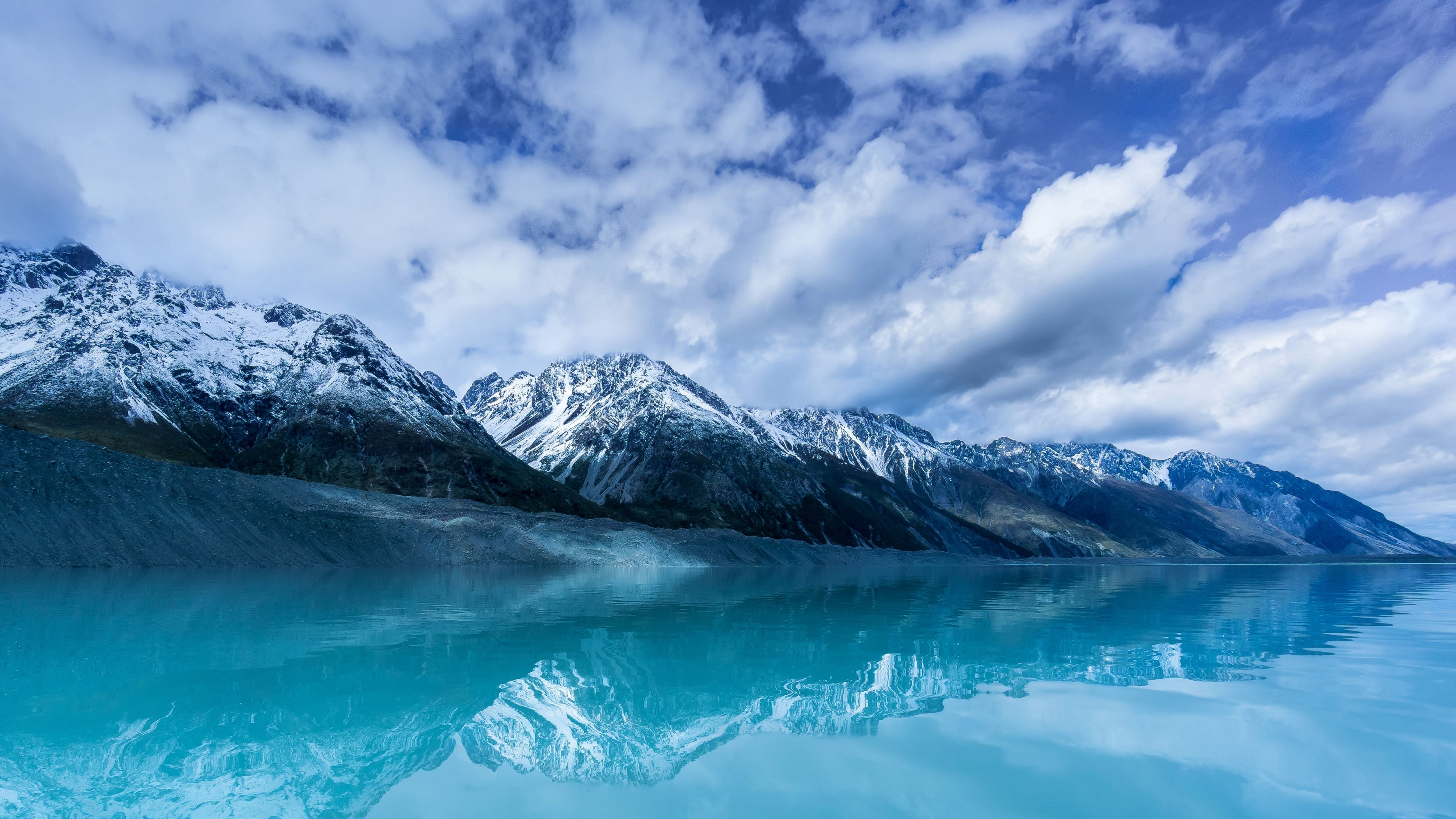 zealand, new, funart