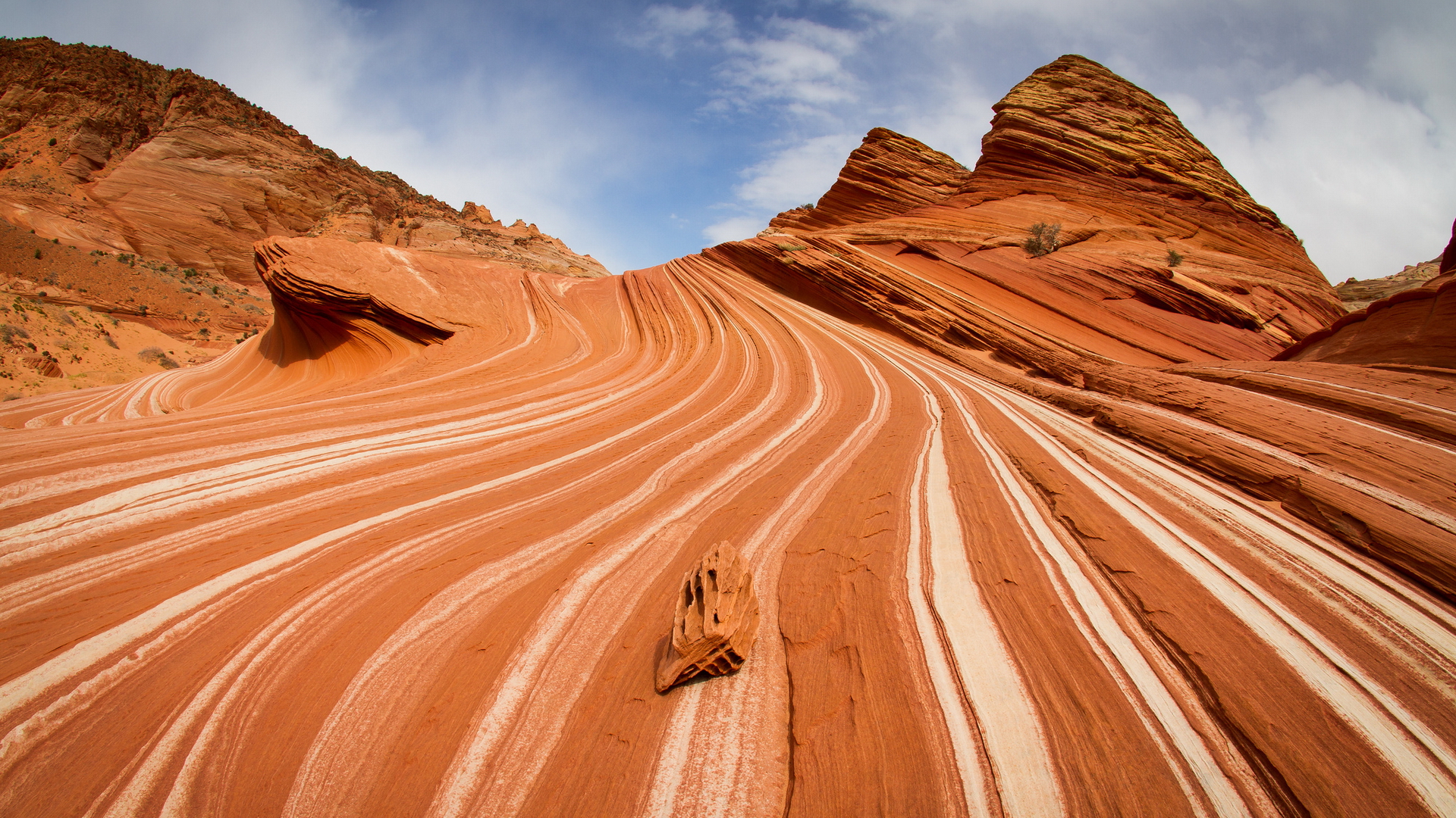 интернет, ola, arizona