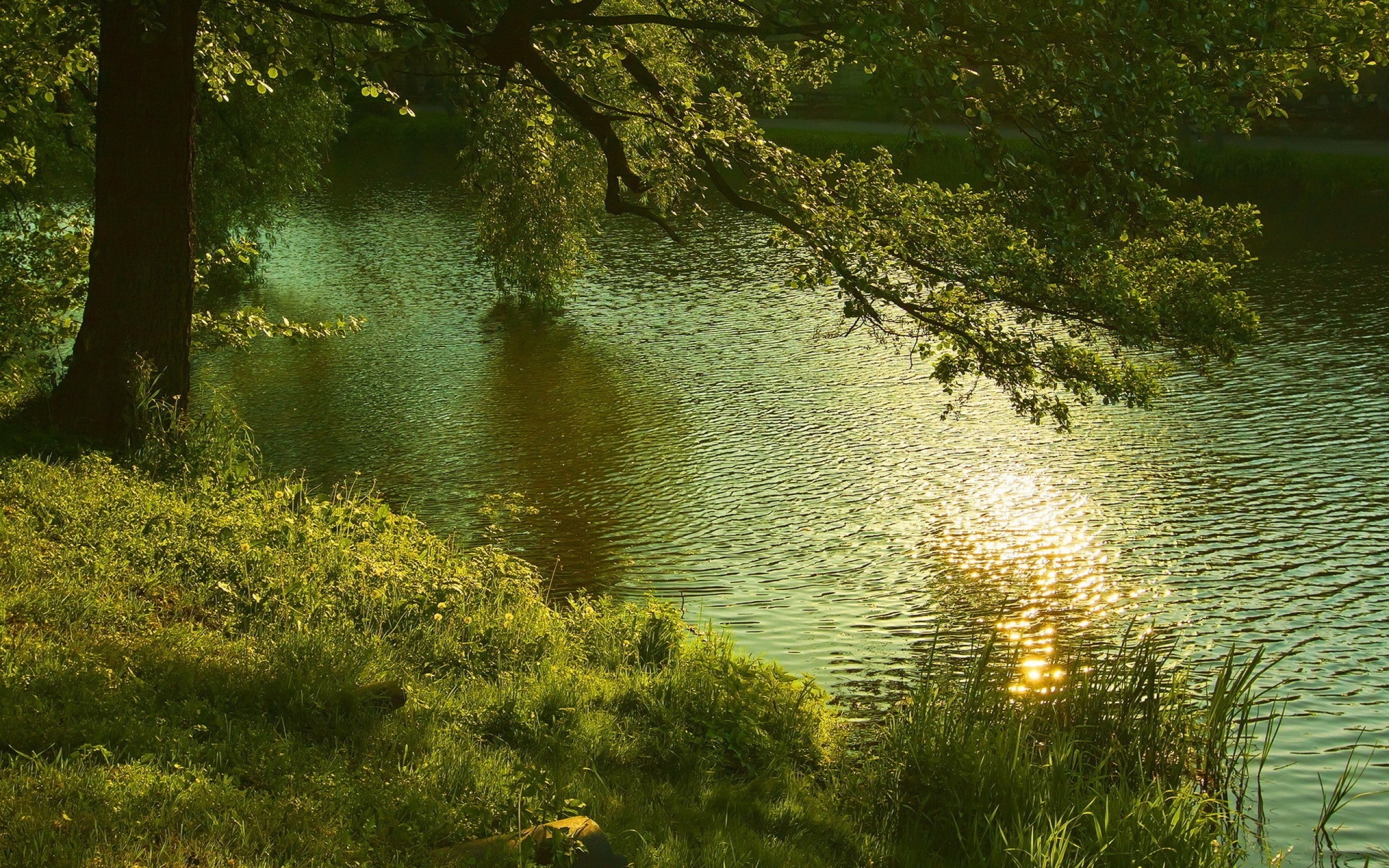 140740 Разрешение 2560x1600