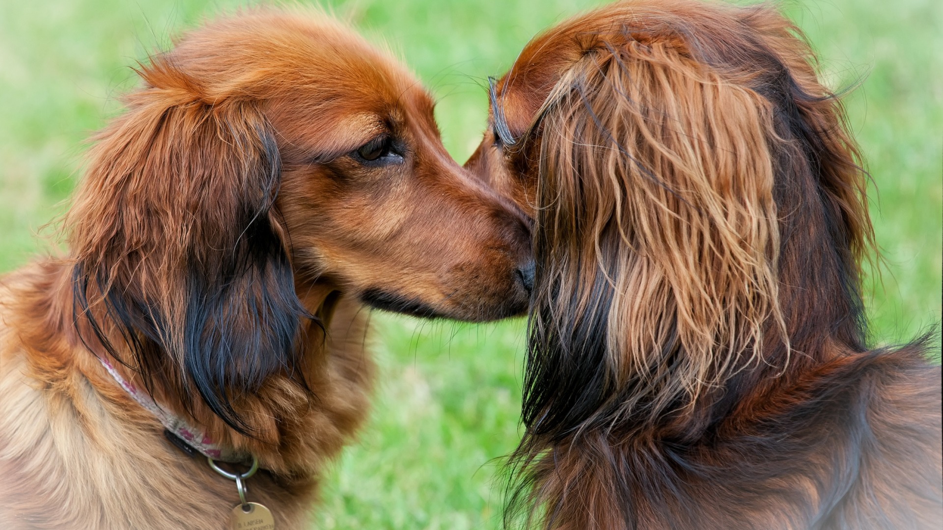 настольные, tres, mac