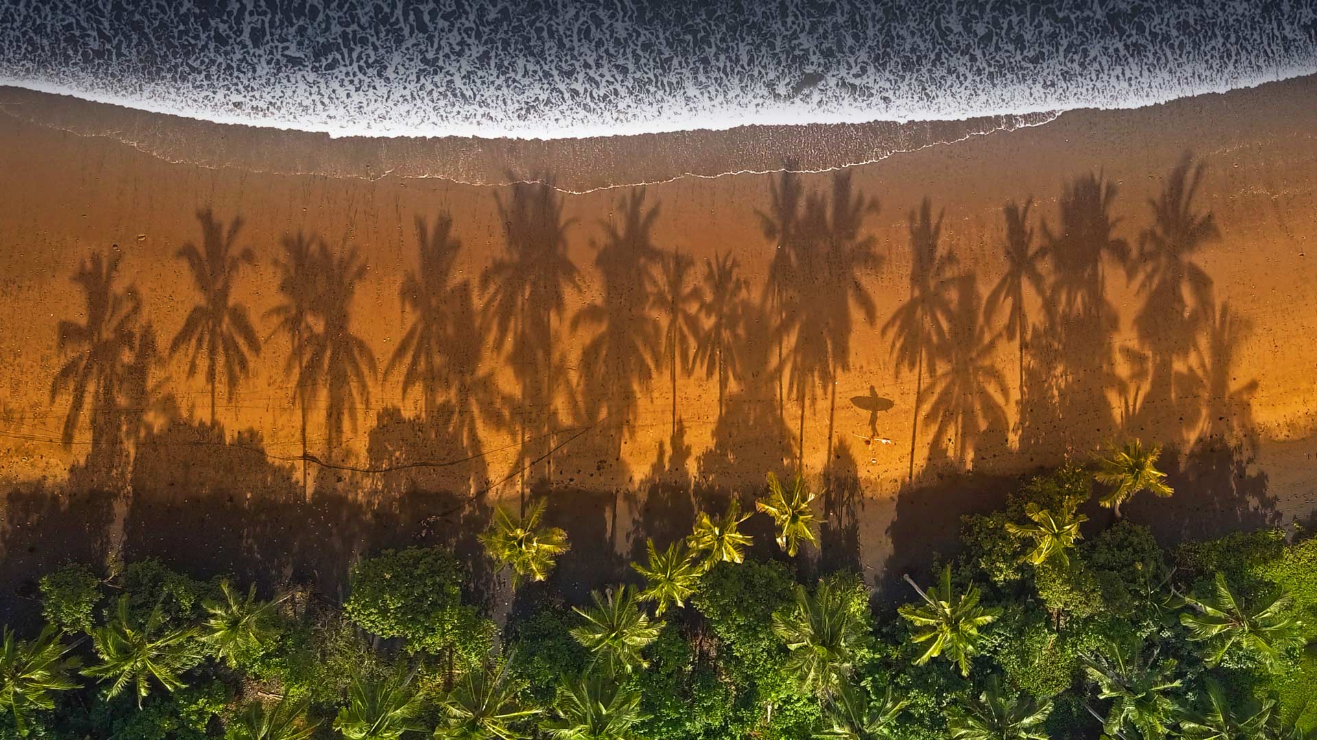 фотография, булая