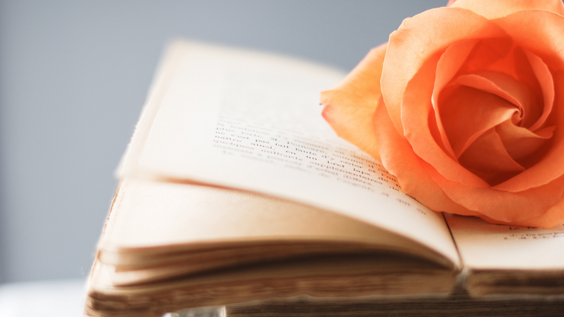 книга, стиль, книжка