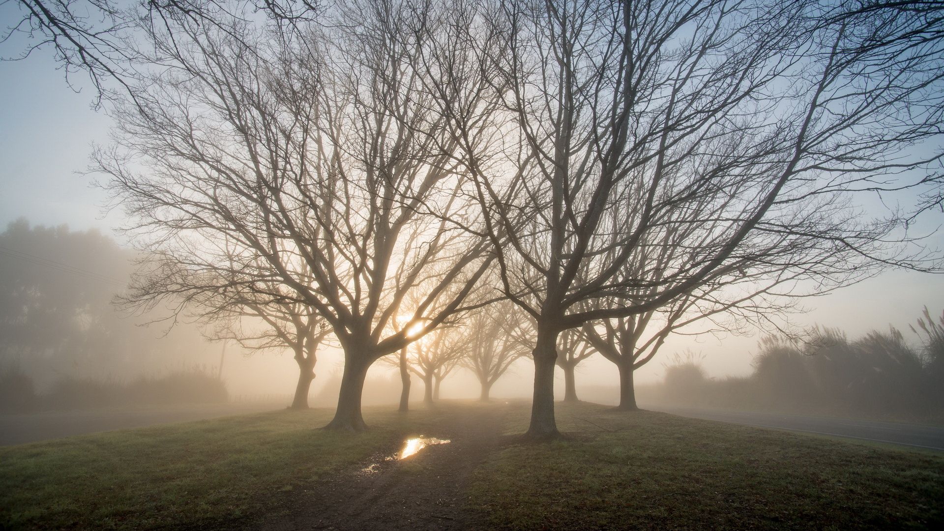 загрузка, загрузка