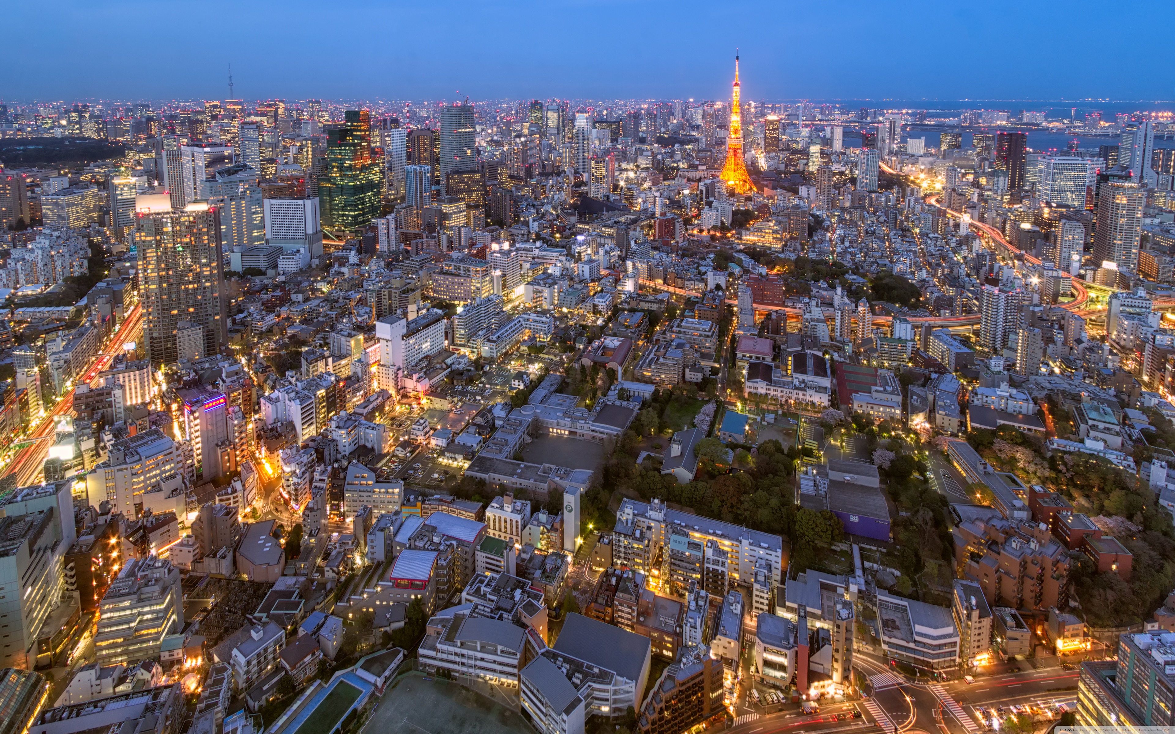 tokyo, закат, взгляд