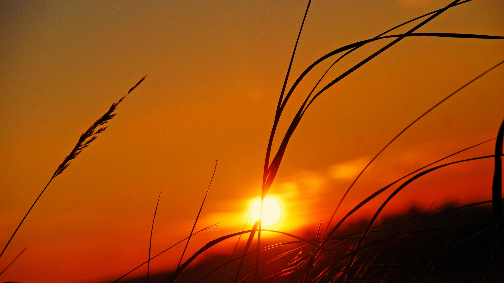 страна, степлтон