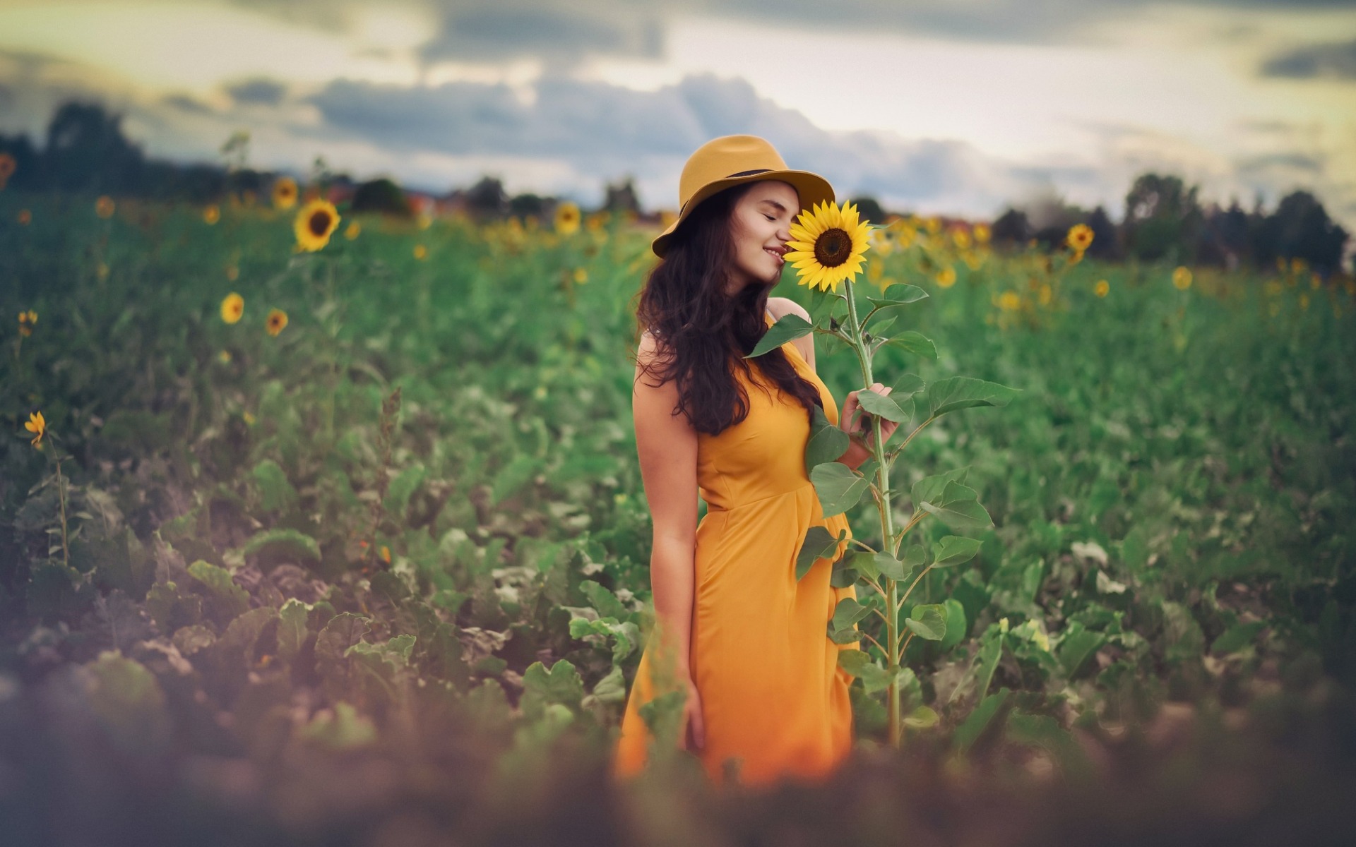 девушка, подсолнухи, песни