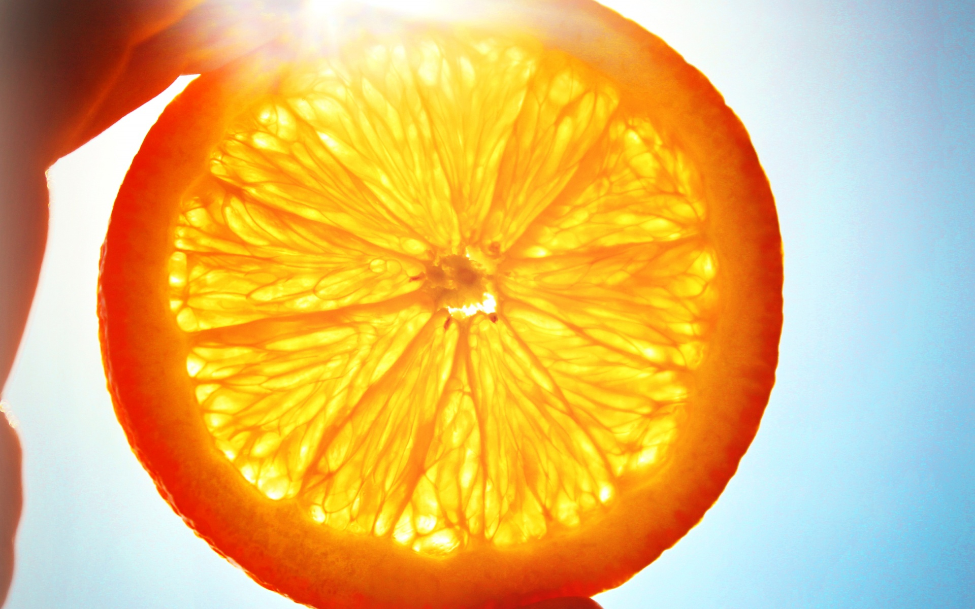 sun, оранжевый, апельсины