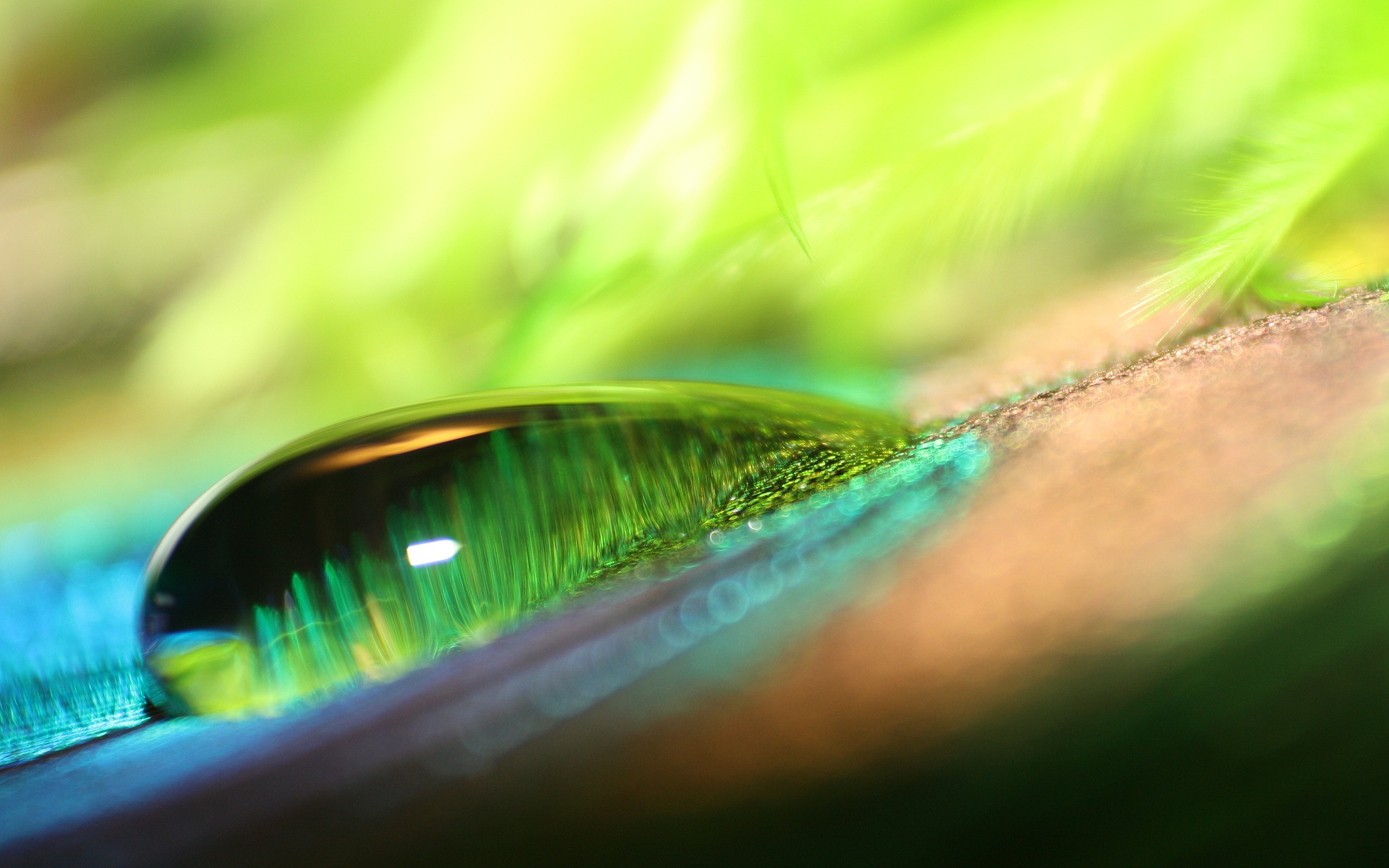 water, drop, desktop