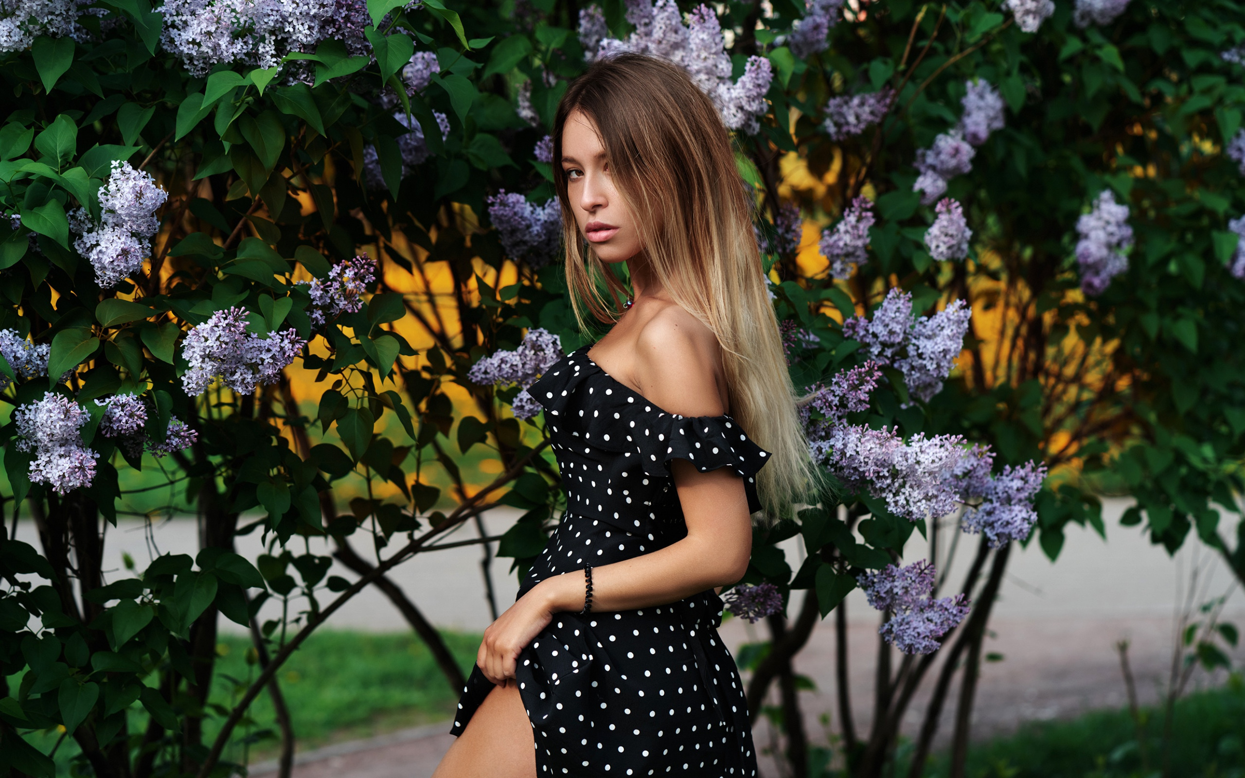 главная, доброфонобои