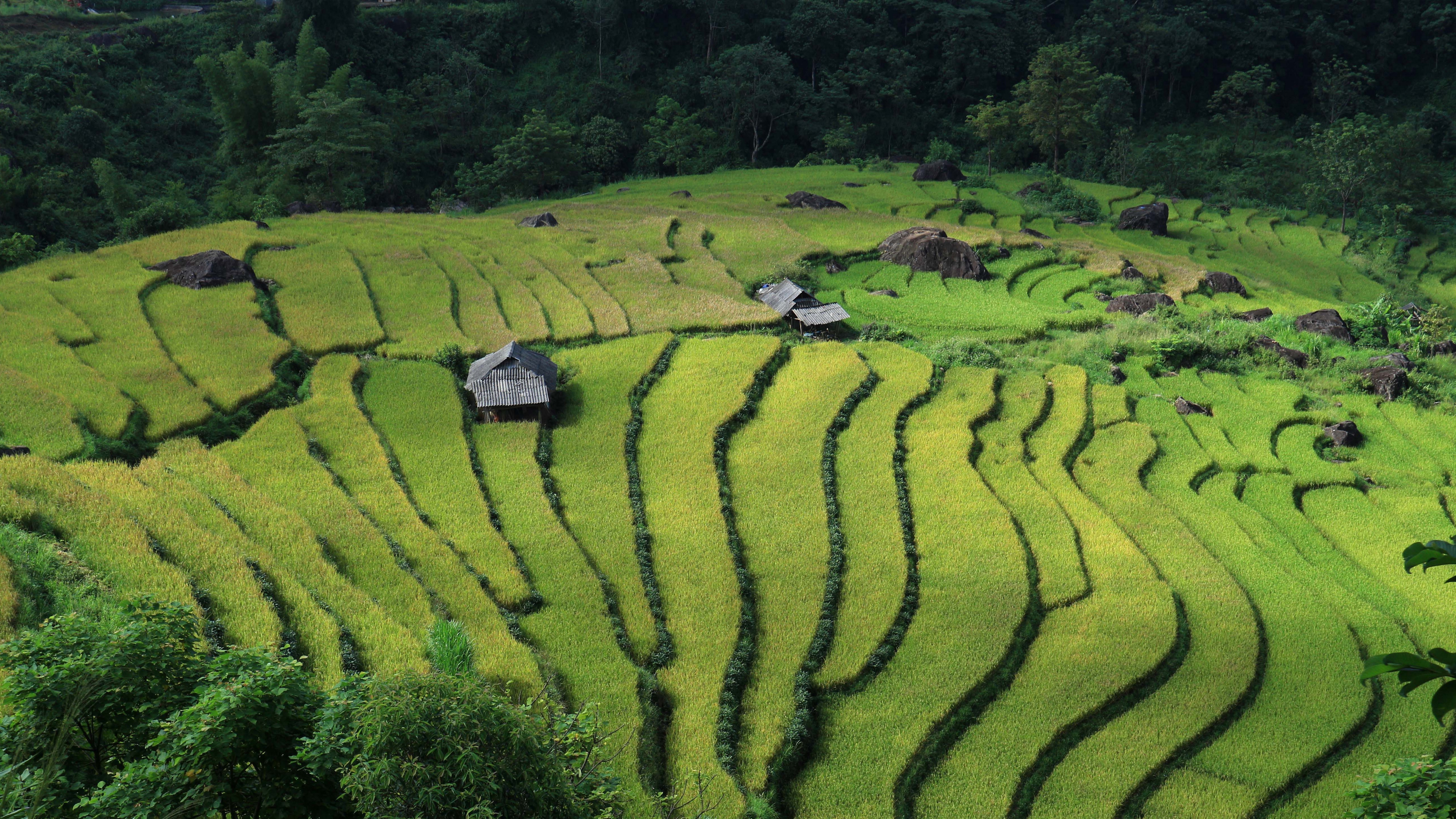 vietnam, бесплатные, пейзаж