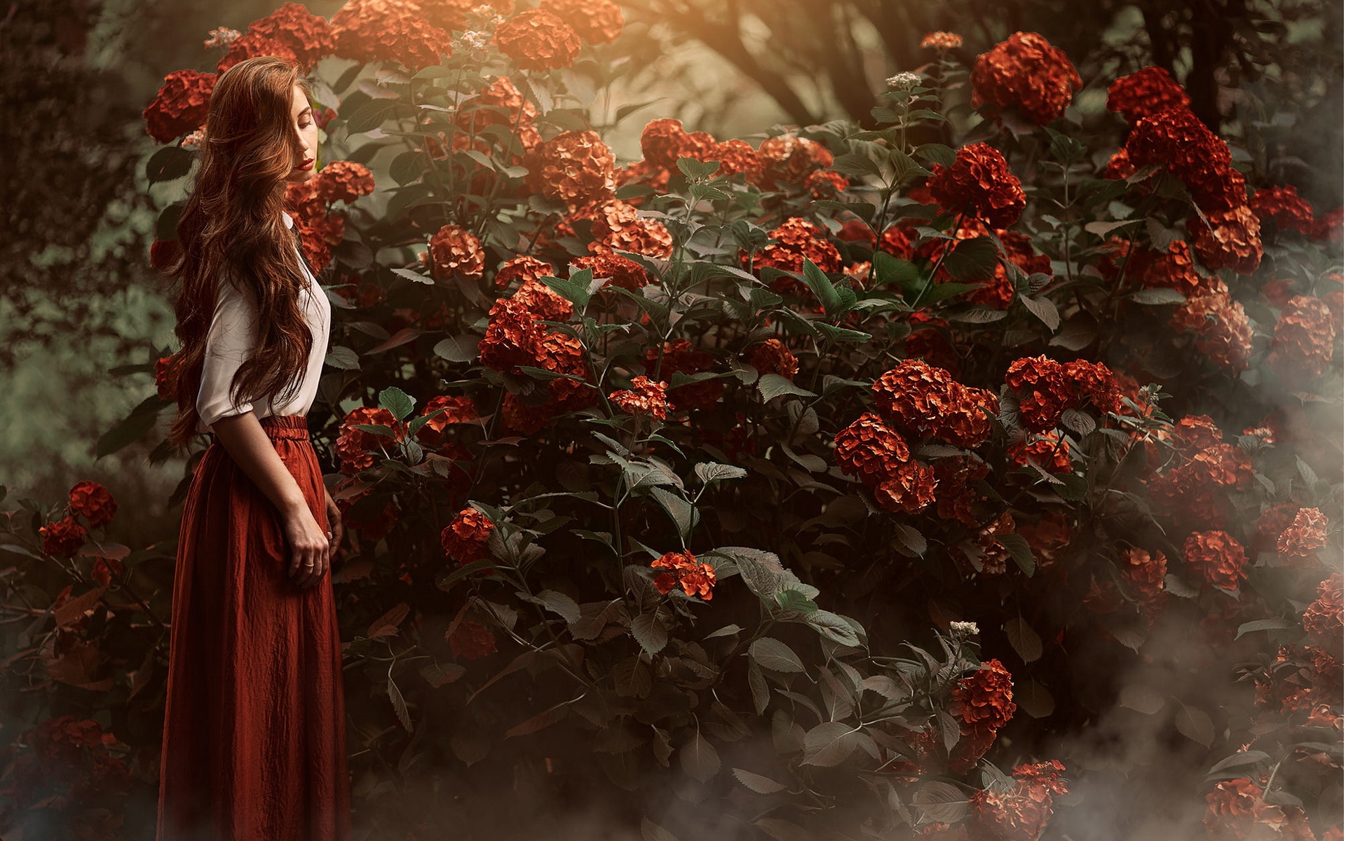 тревожность, стой