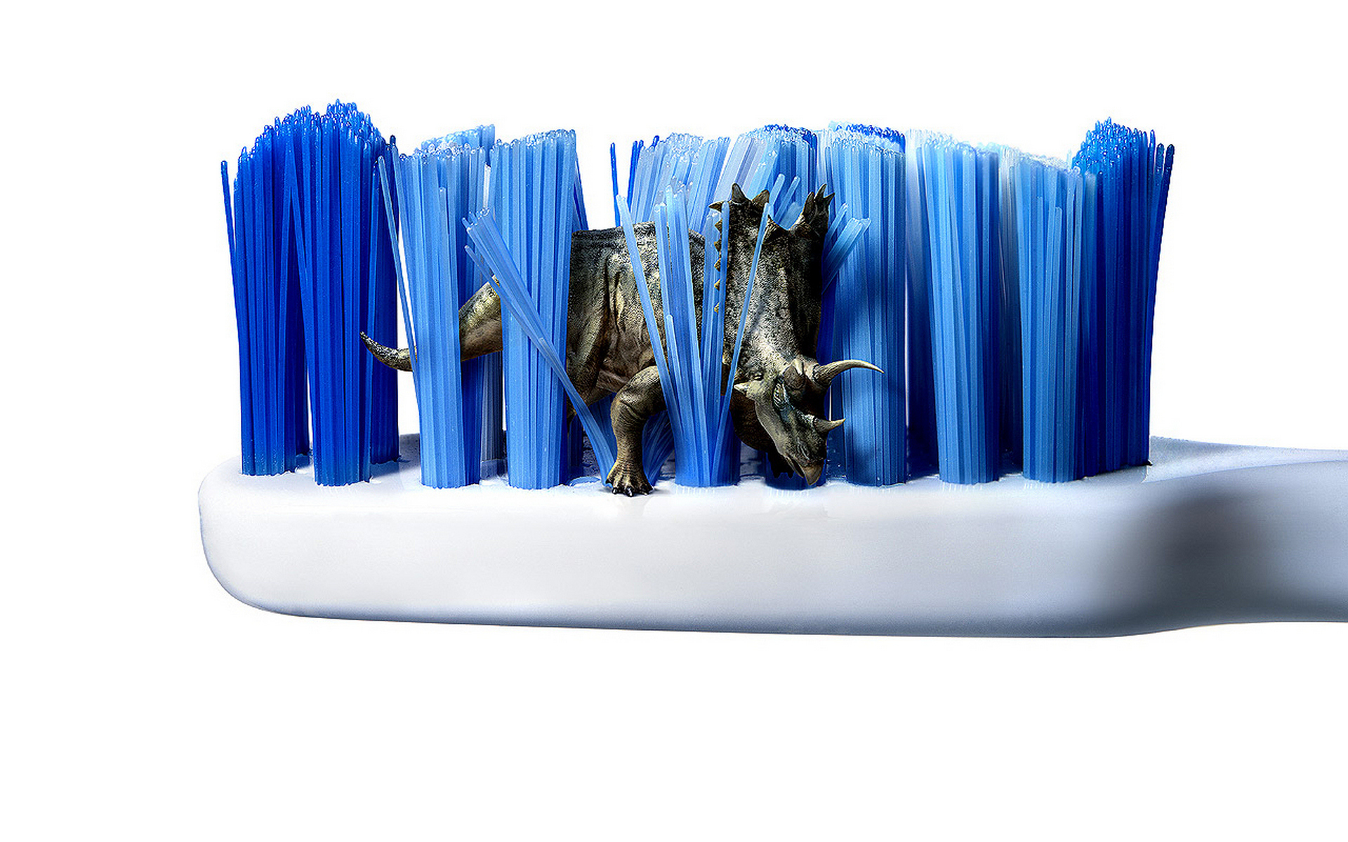 изображения, творческие