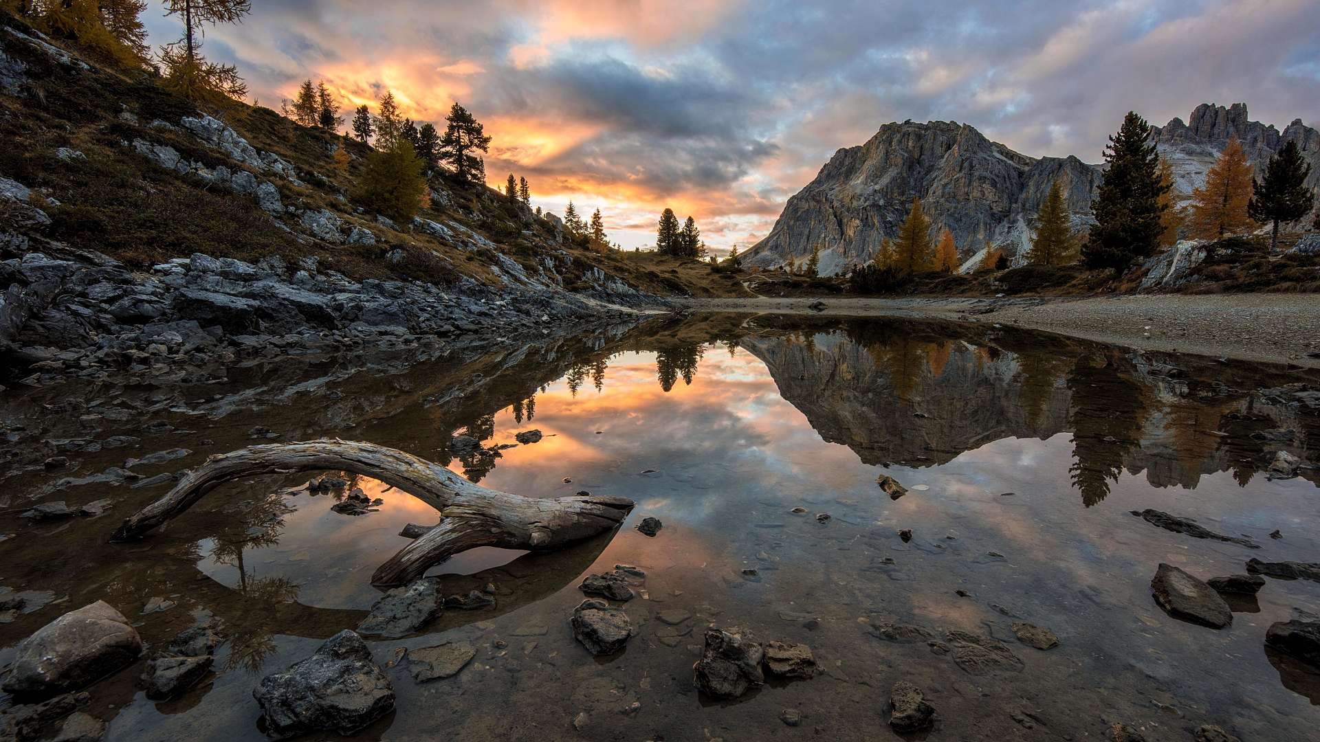арафированный вид на горное озеро с упавшим деревом на переднем плане