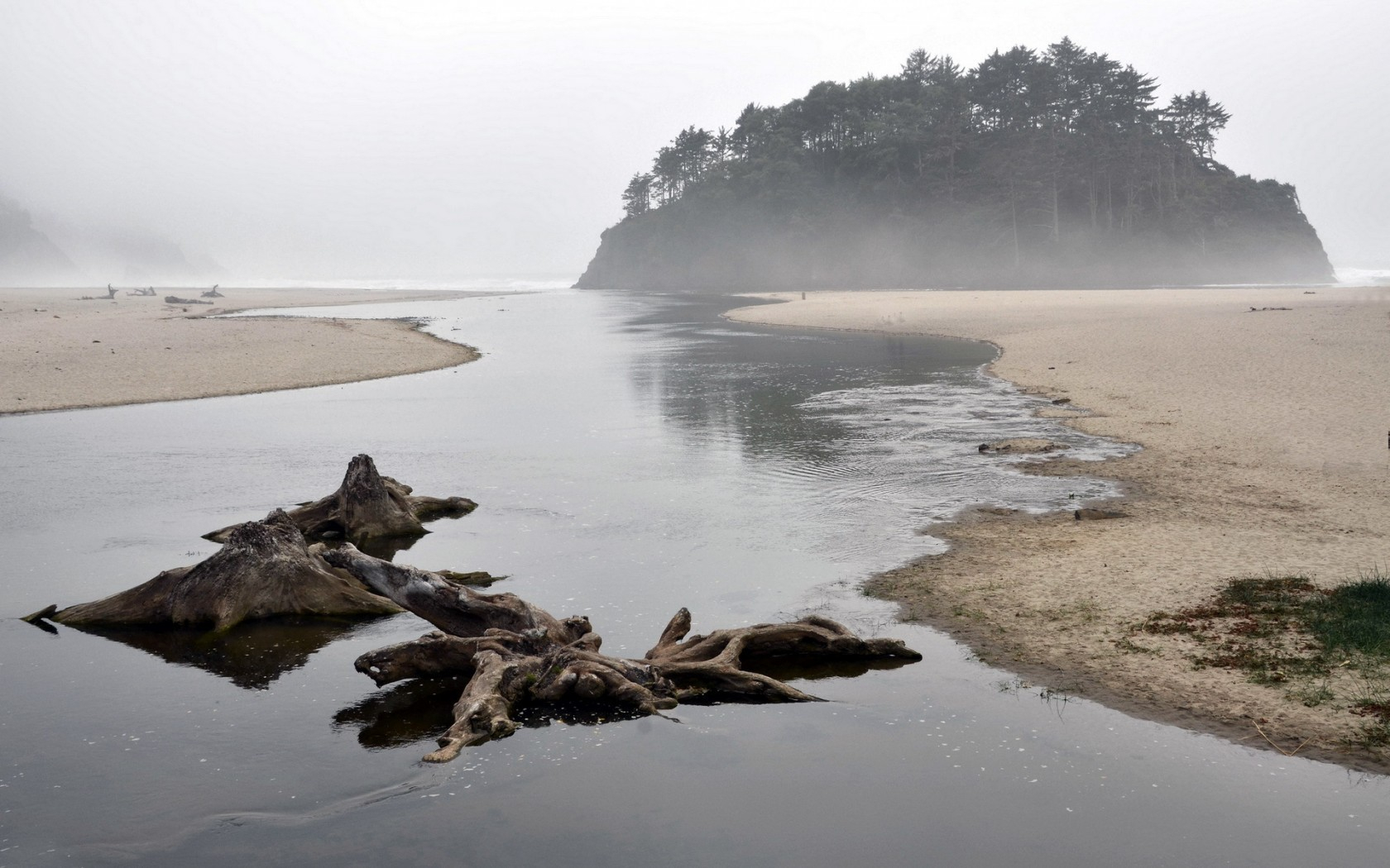 Природа 101139