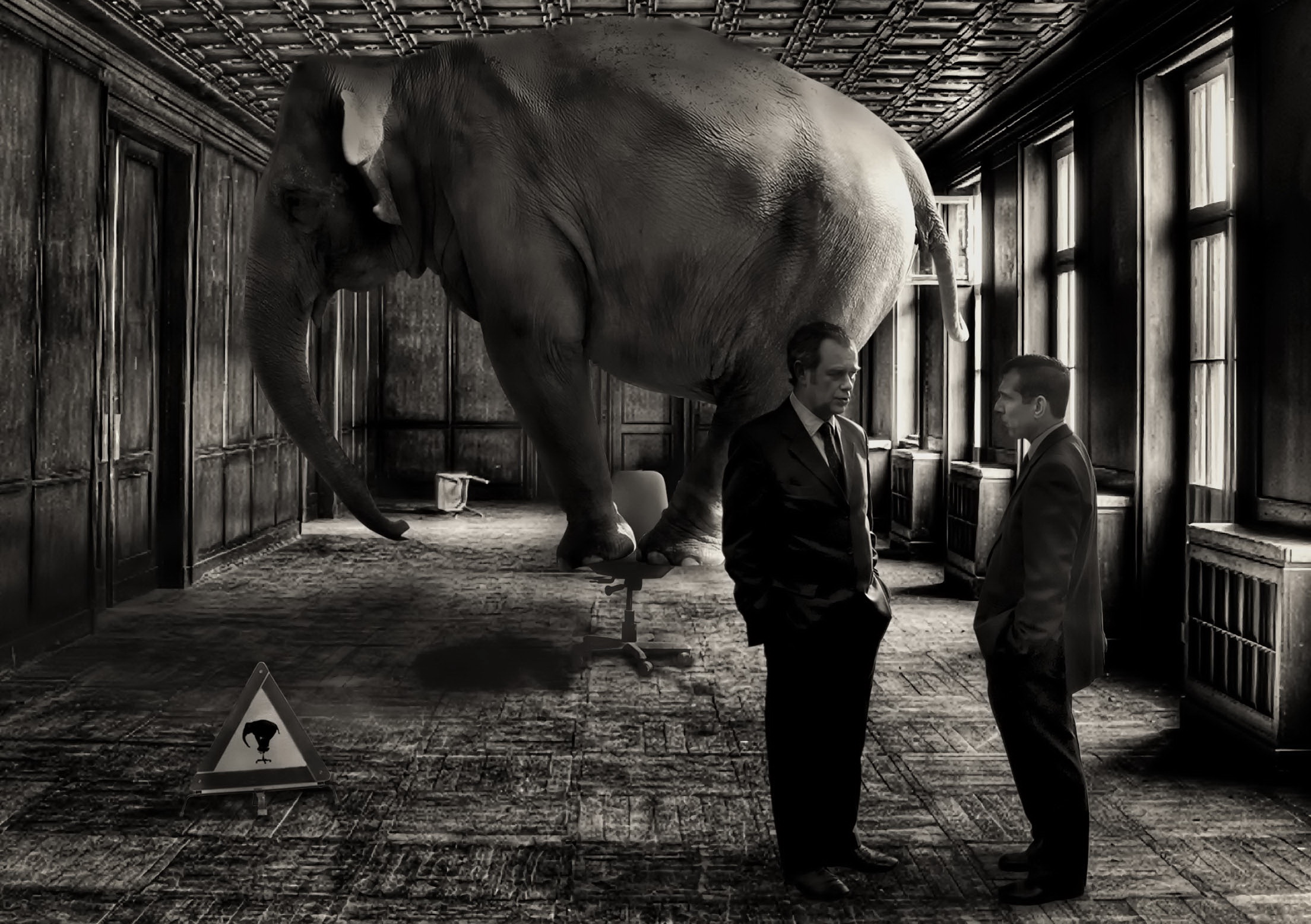 слон, комната, ты