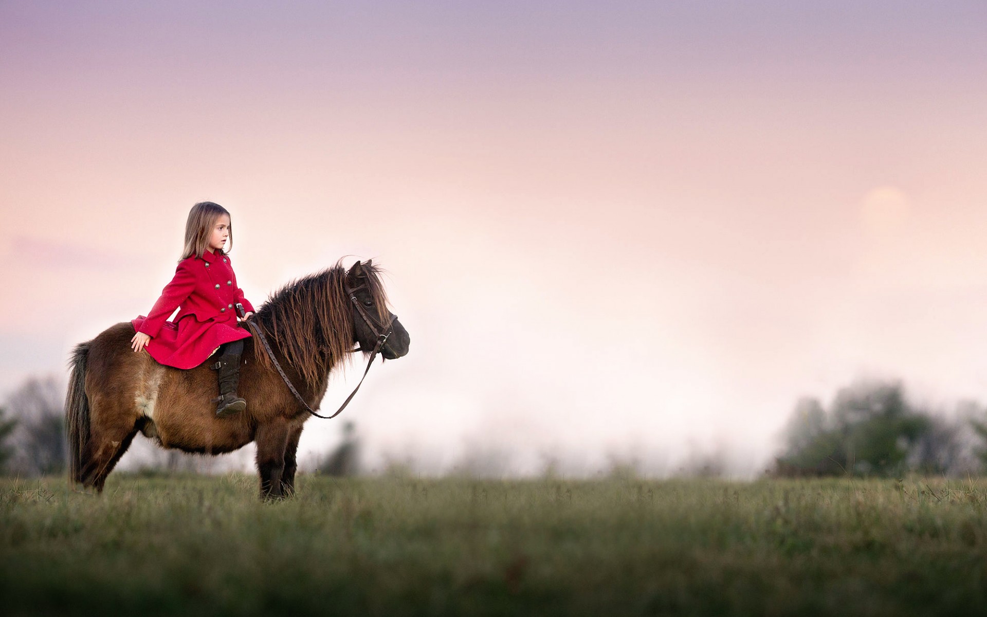 Girl ride pony. Верхом на лошади. Девушка верхом на лошади. Мальчик верхом на лошади. Лошадь сидит.