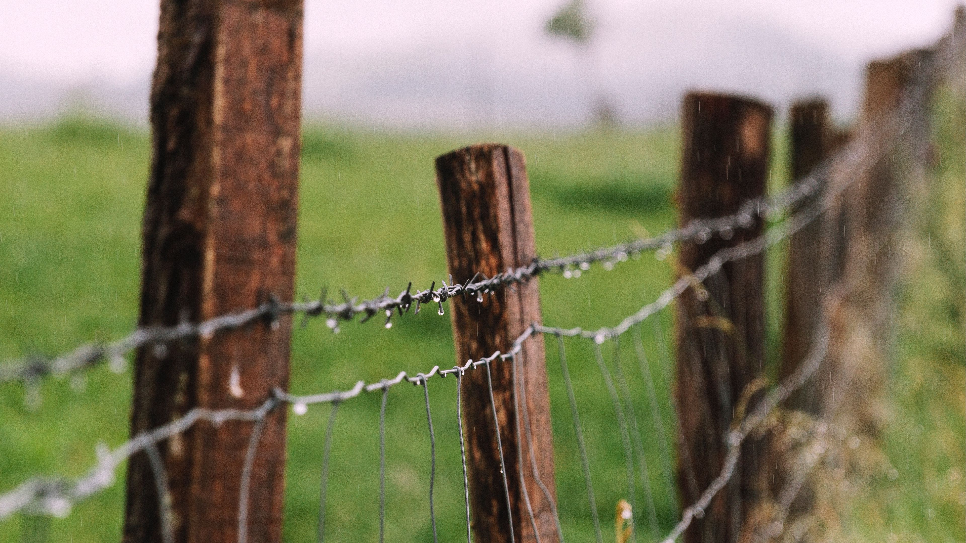 провод, barbed, barb