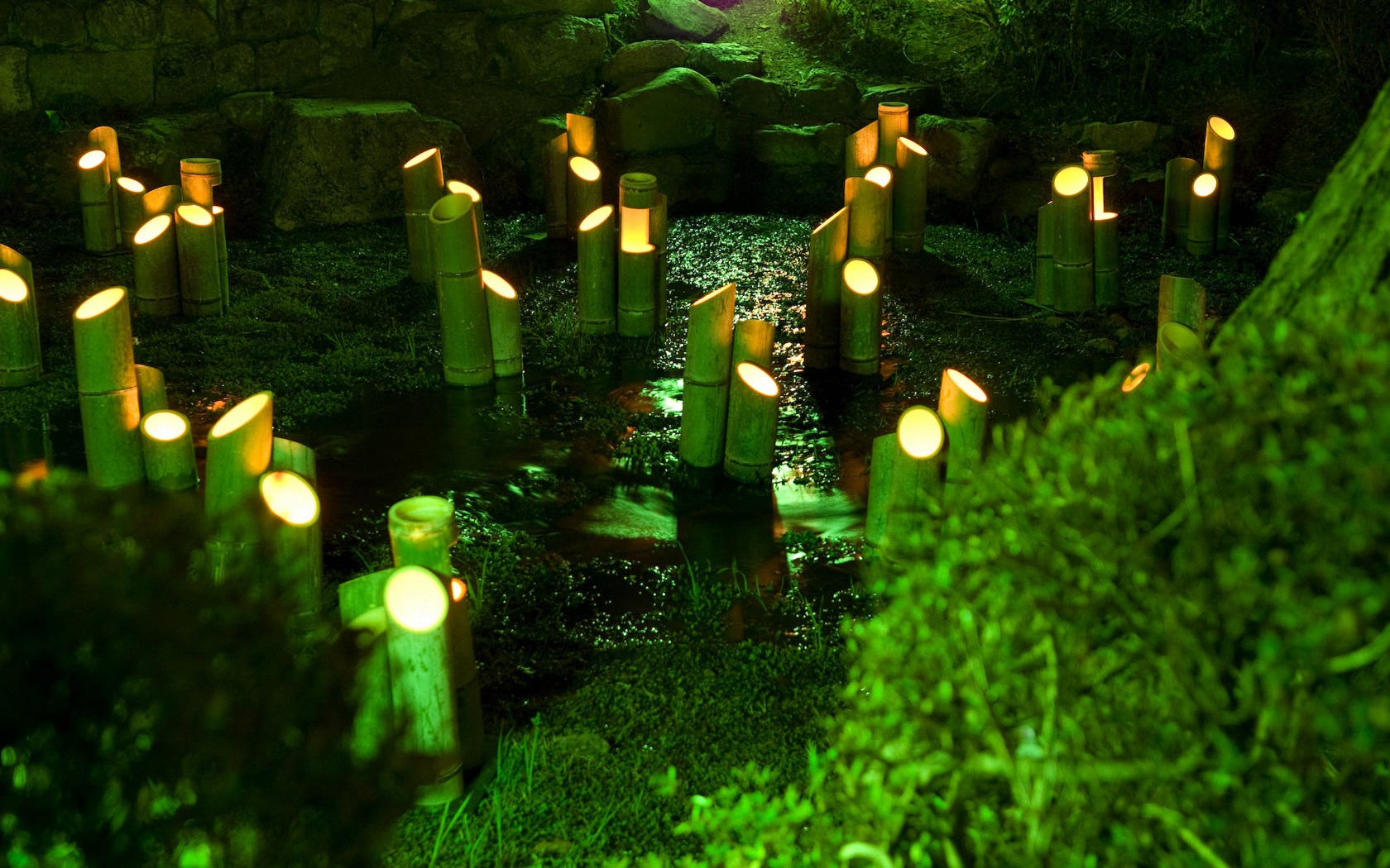 japon, ласки, ecran