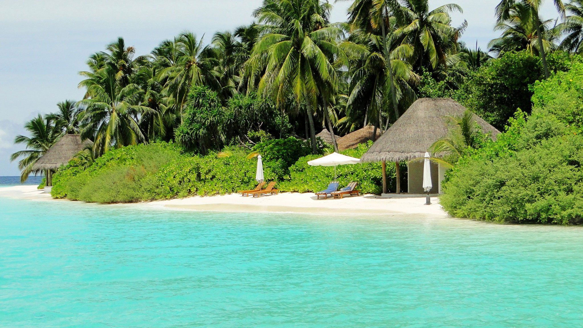 sdpy, бассейн, caribbean