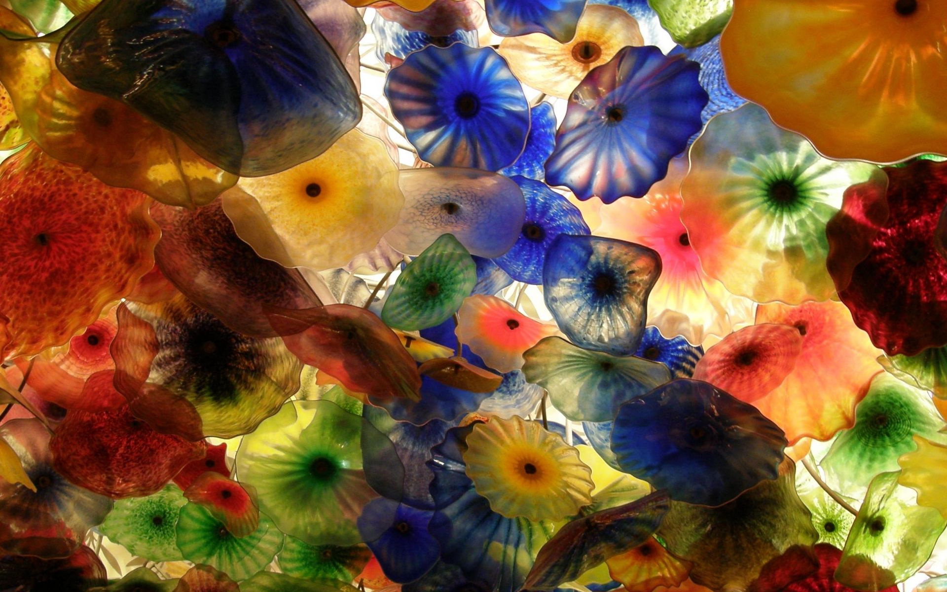 Разноцветные медузы загрузить