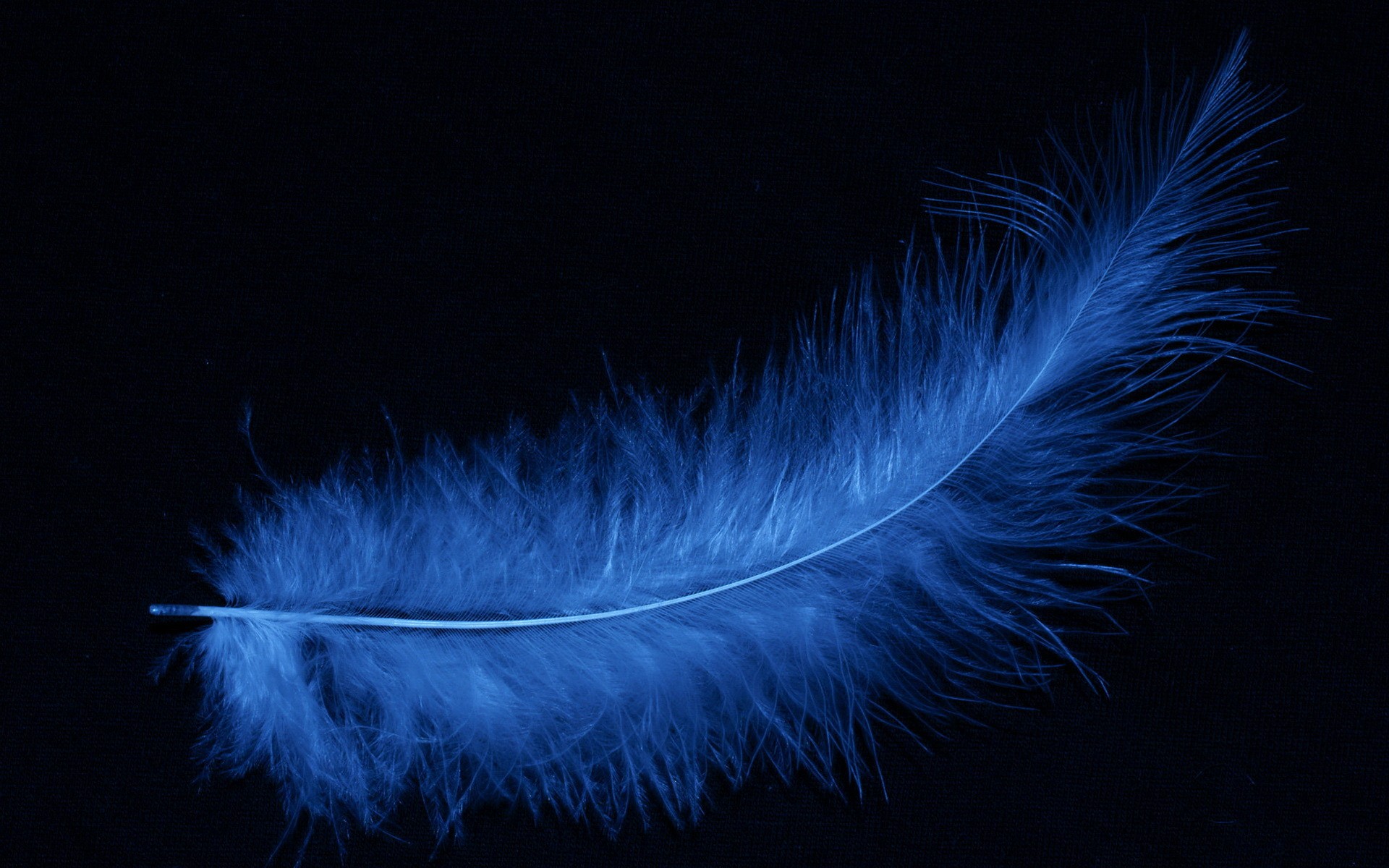 перо, black, blue