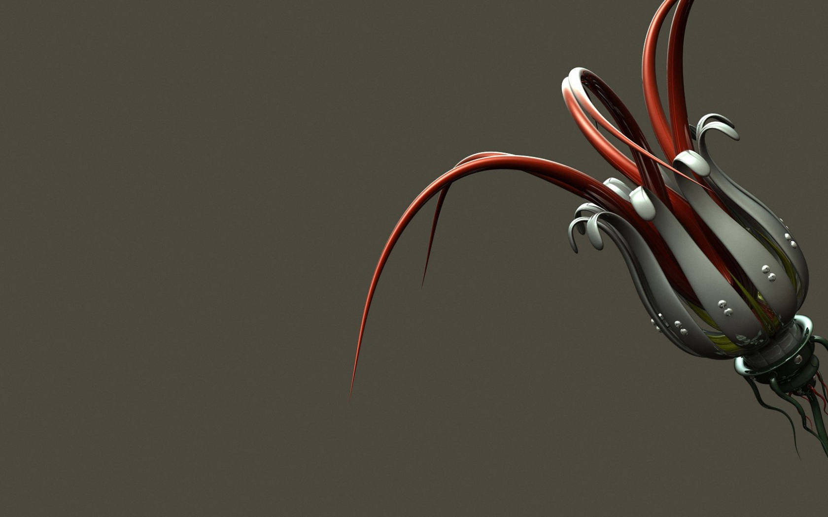 существует очень большой красно-белый цветок со стеблем