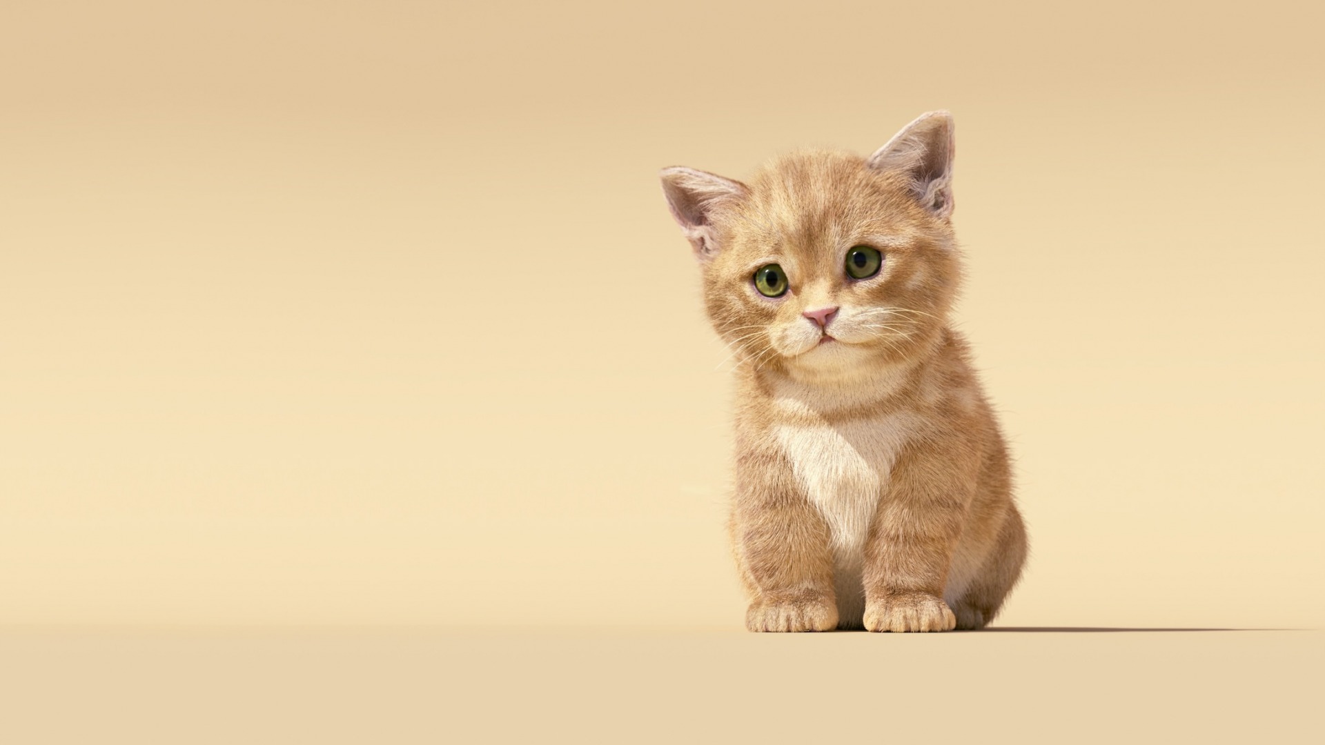 форум, аватары, фотографии