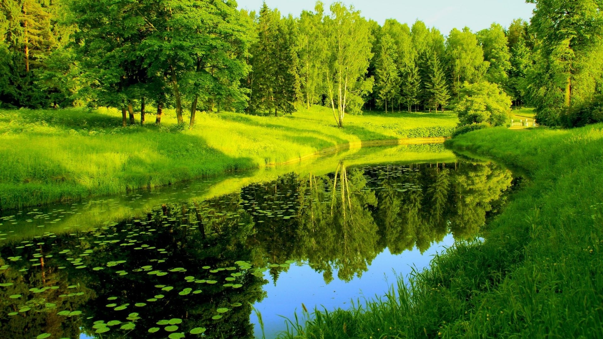 природа, коллекция, смотреть