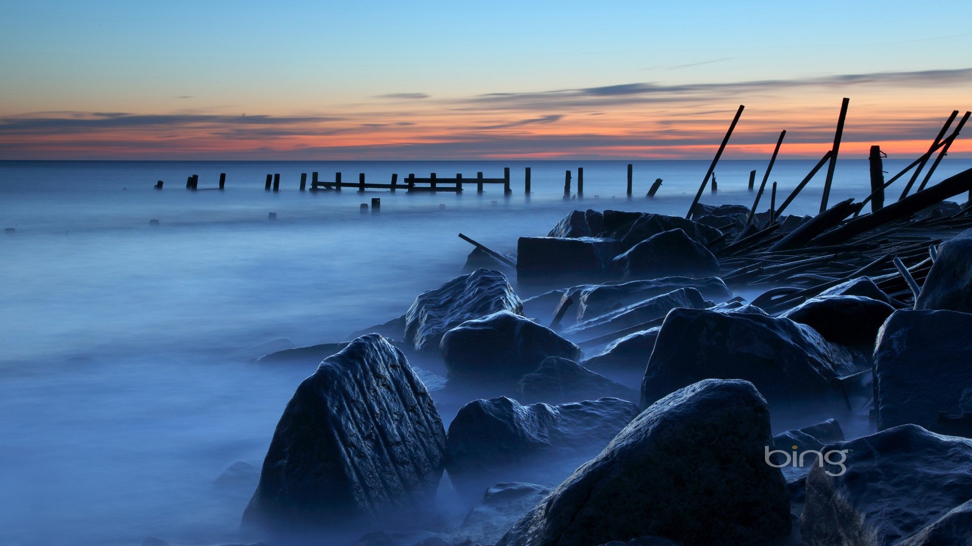 цитата, природа