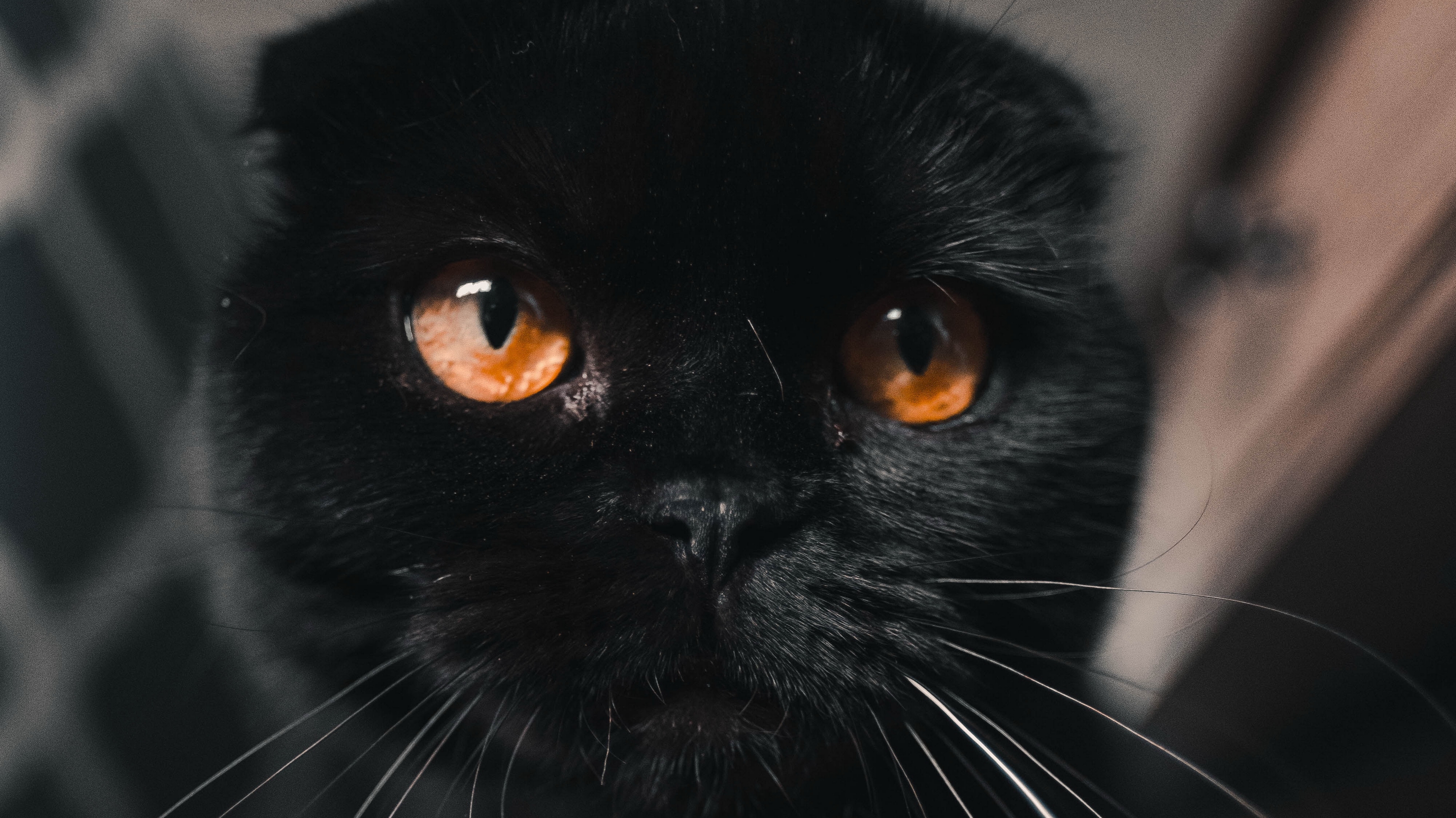 фотография, графический мир