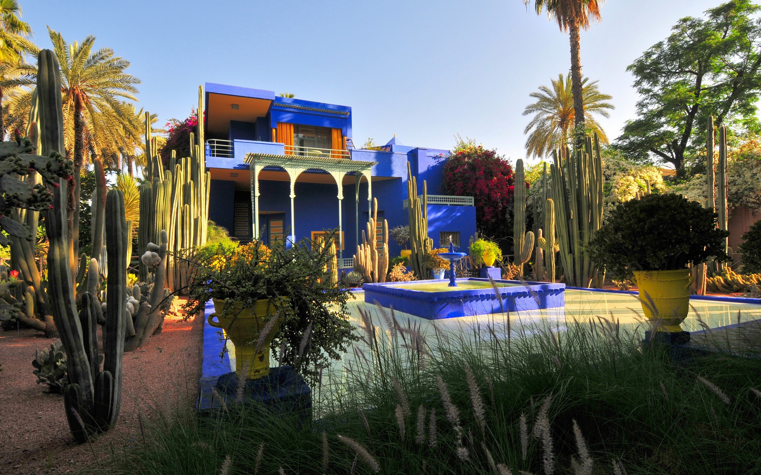 jardin, art, pic