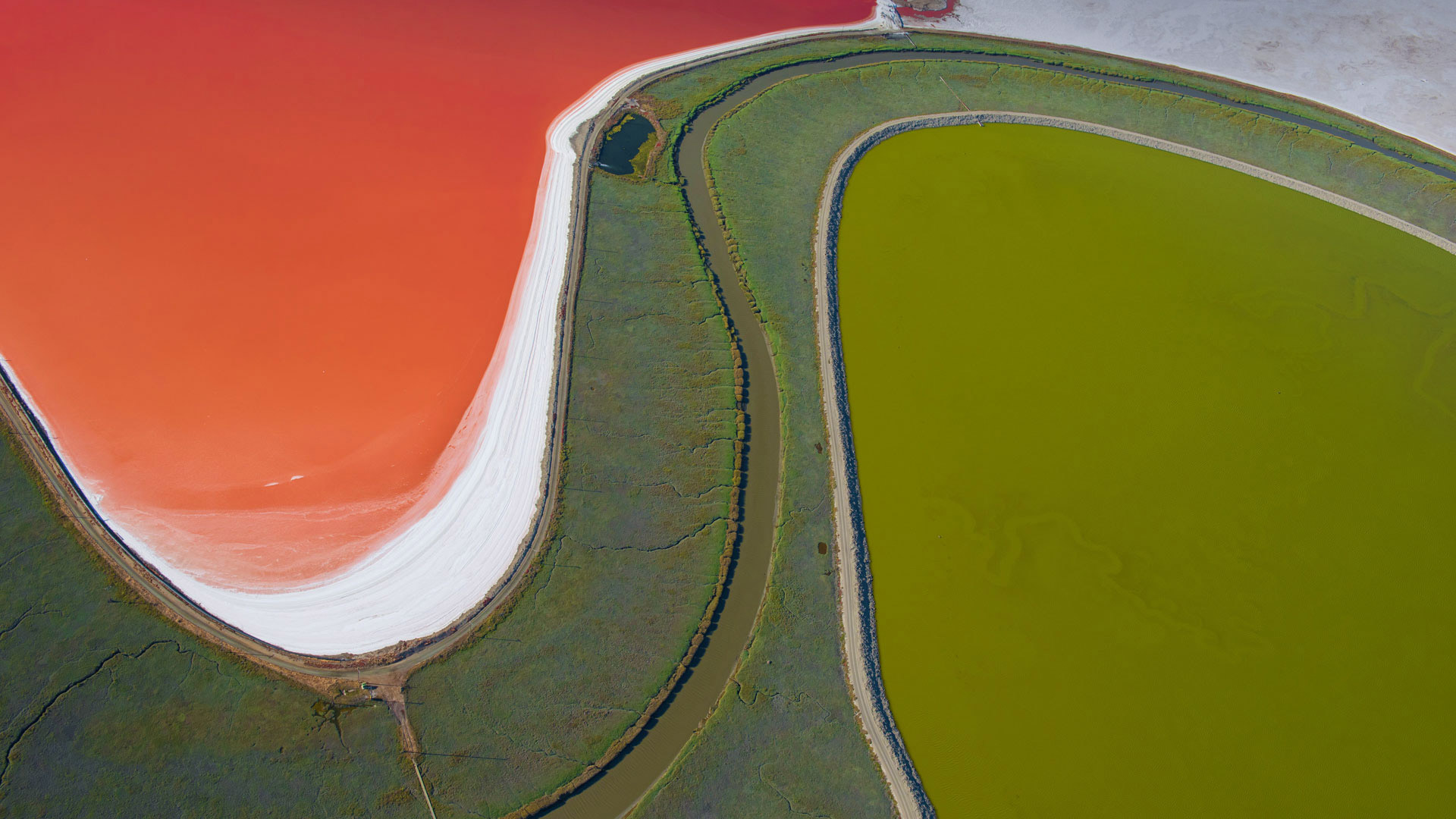 эти, петля, шея