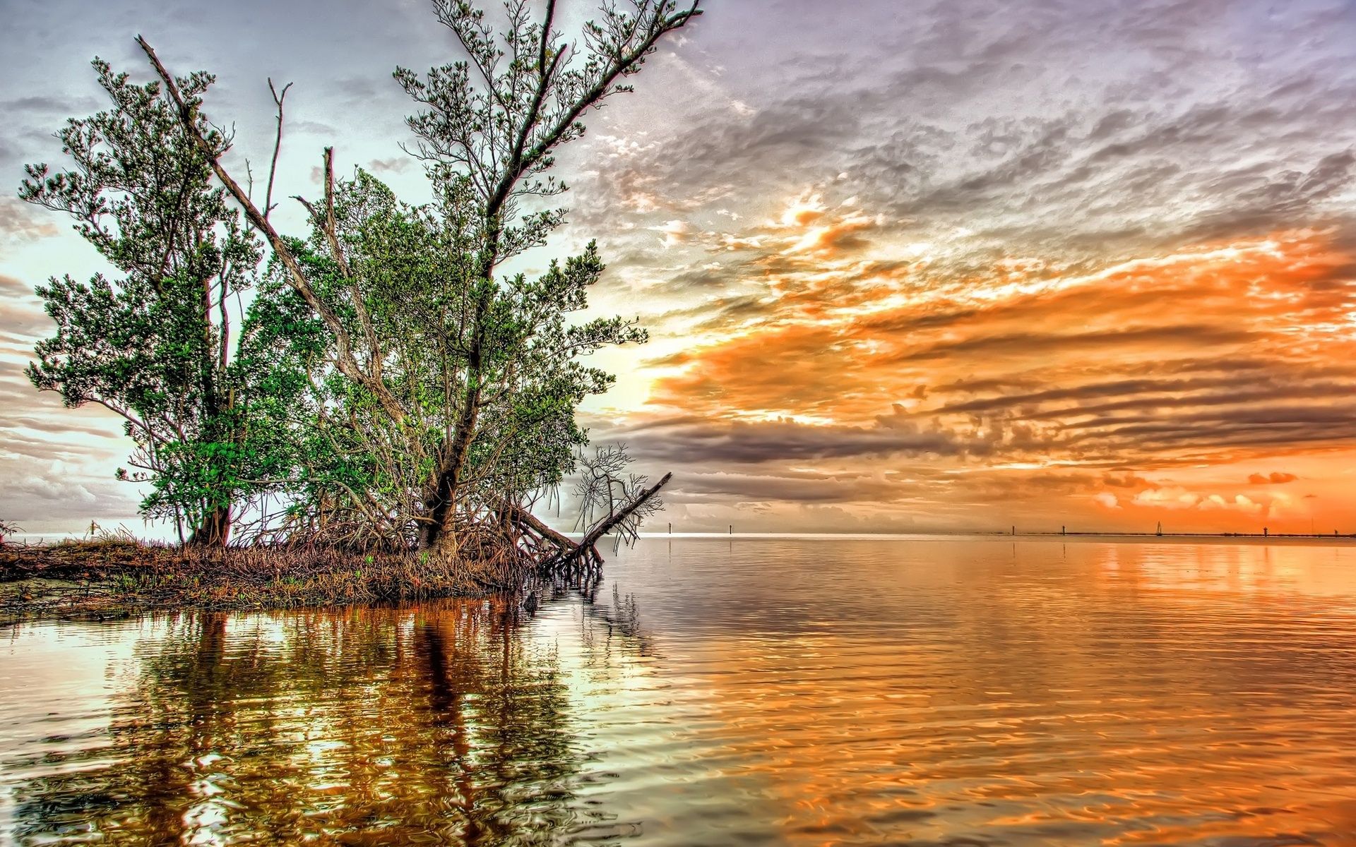 задница, лентяй, полный