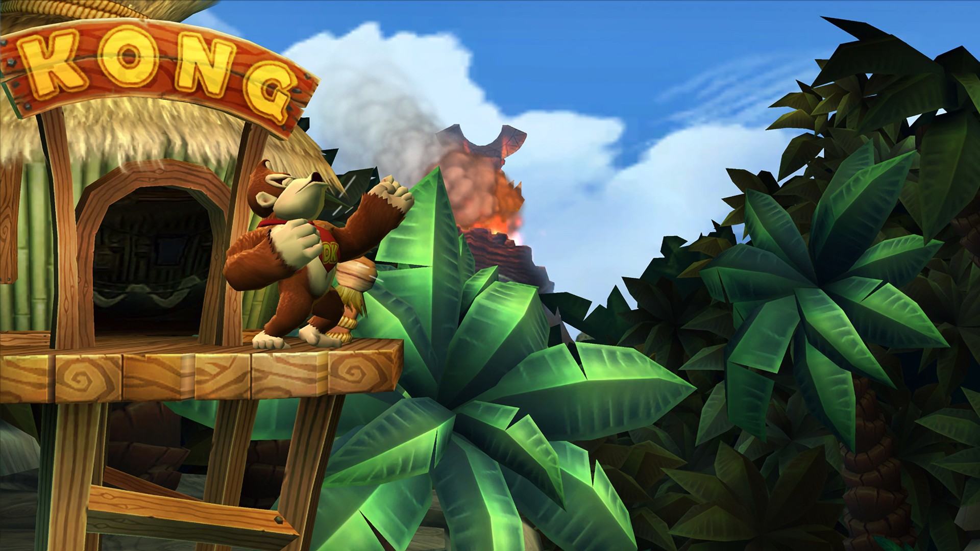 kong, donkey, country