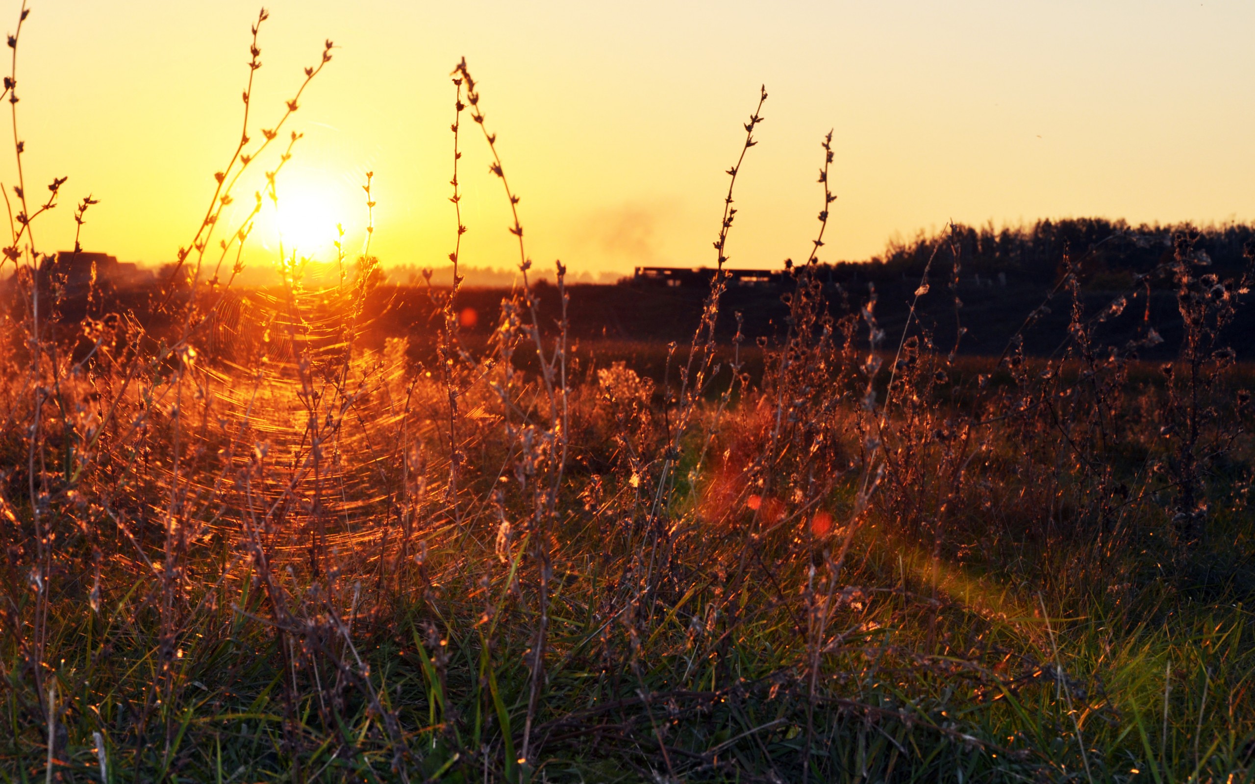 Природа 148569