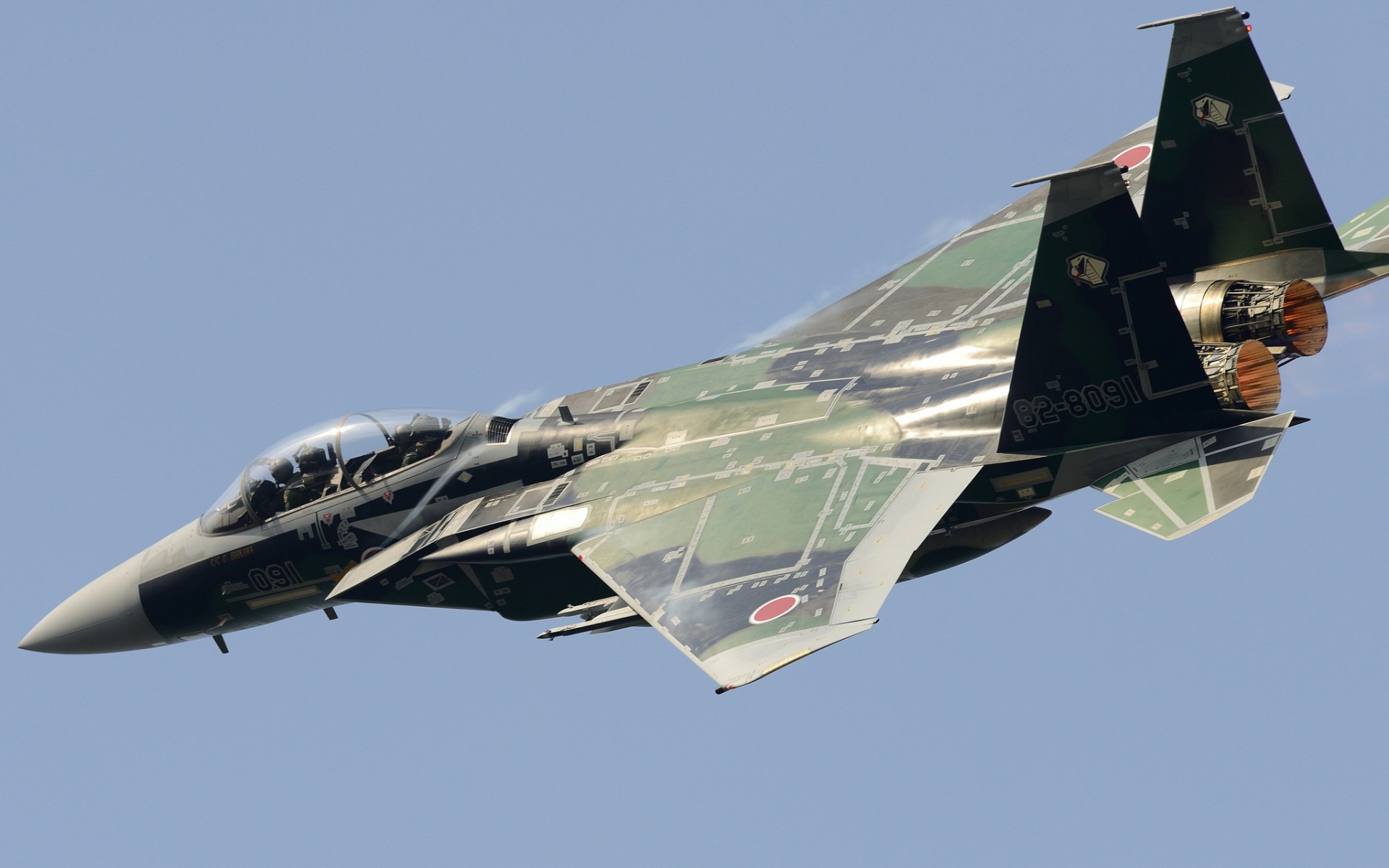 f-15dj