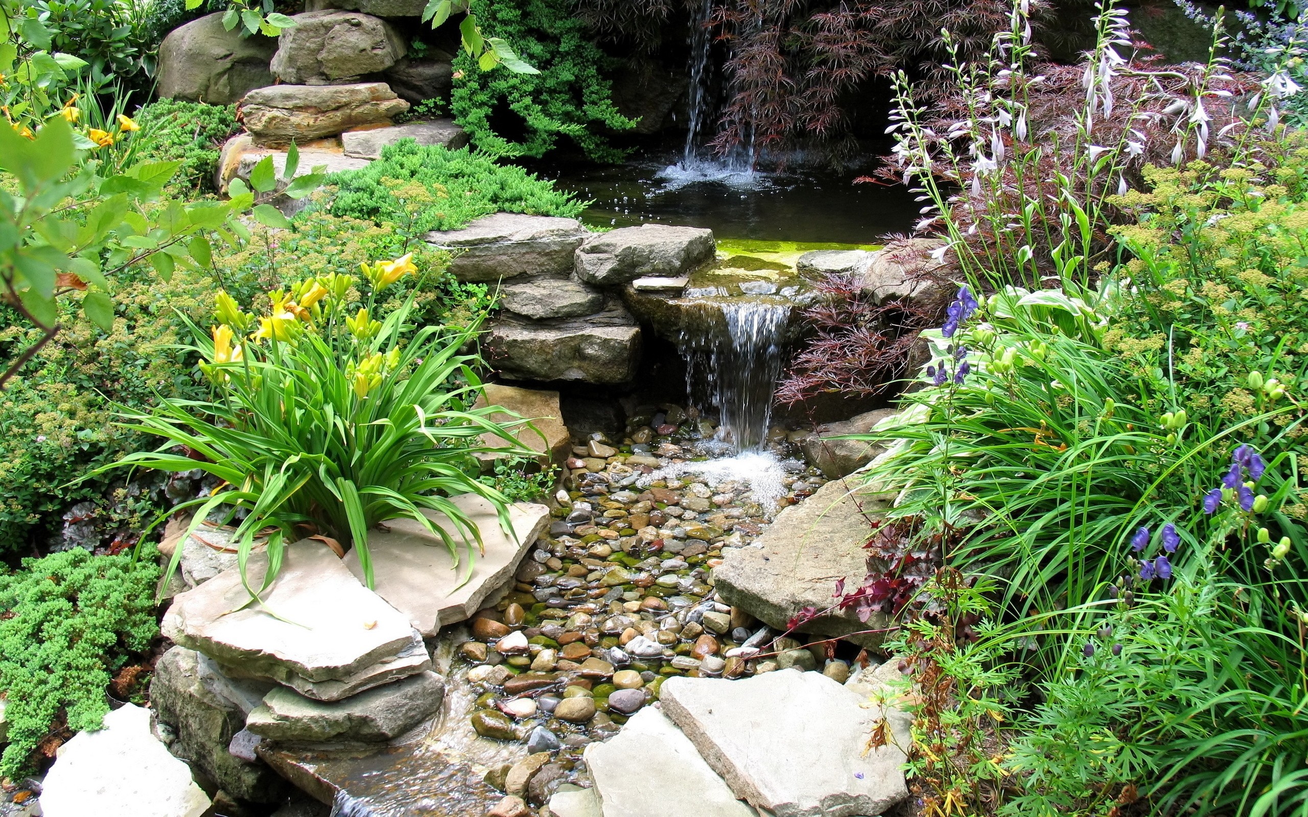 сад, рок, рок