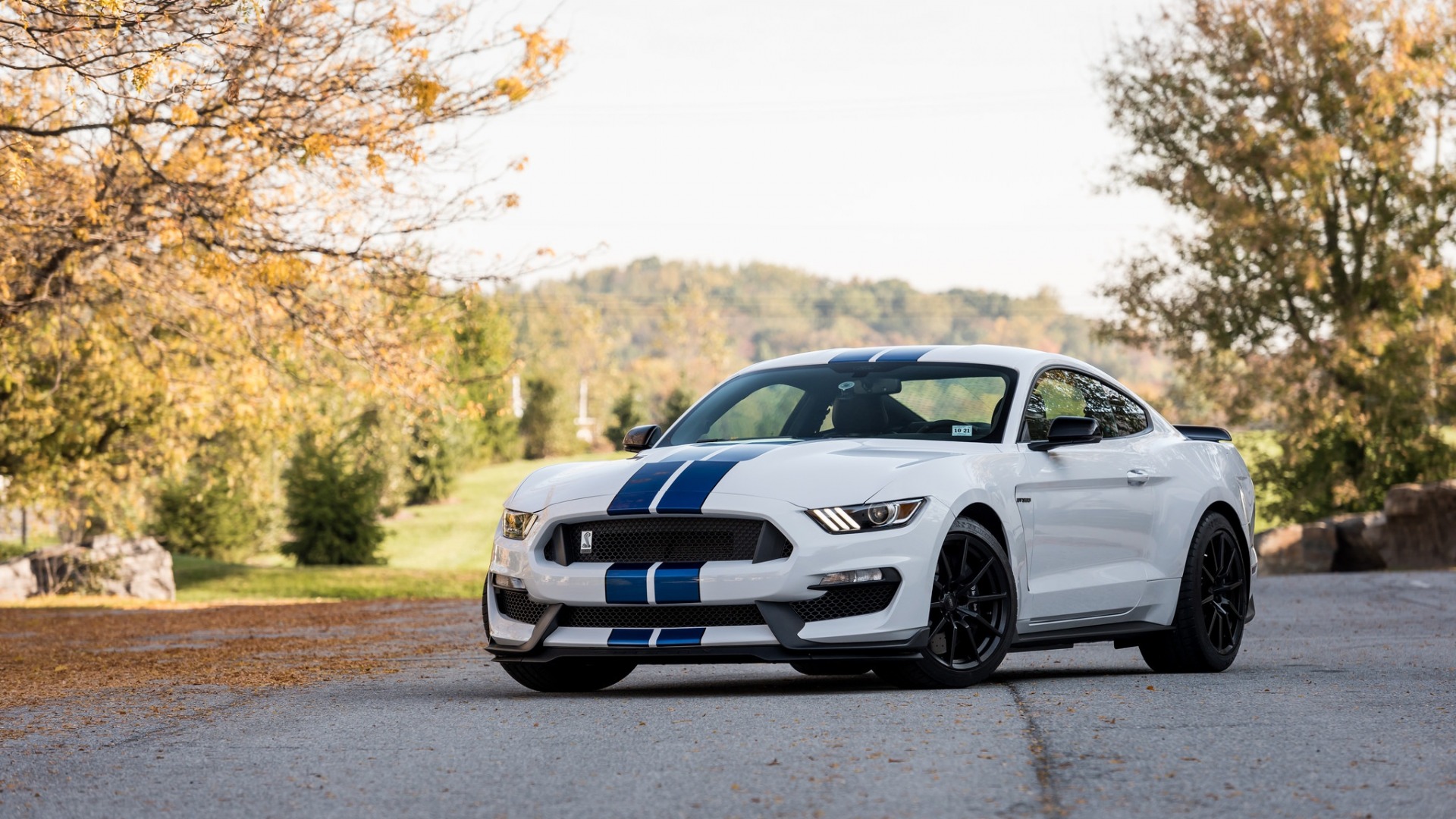 shelby, ford, mustang