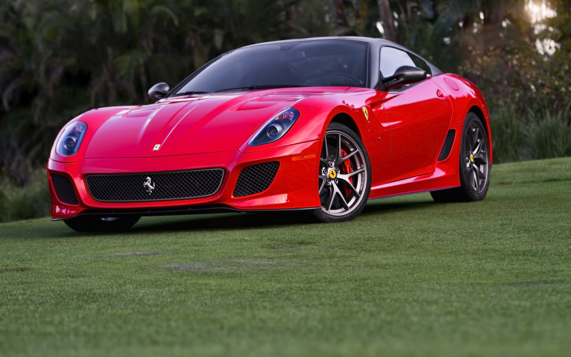 виды, ferrari, png
