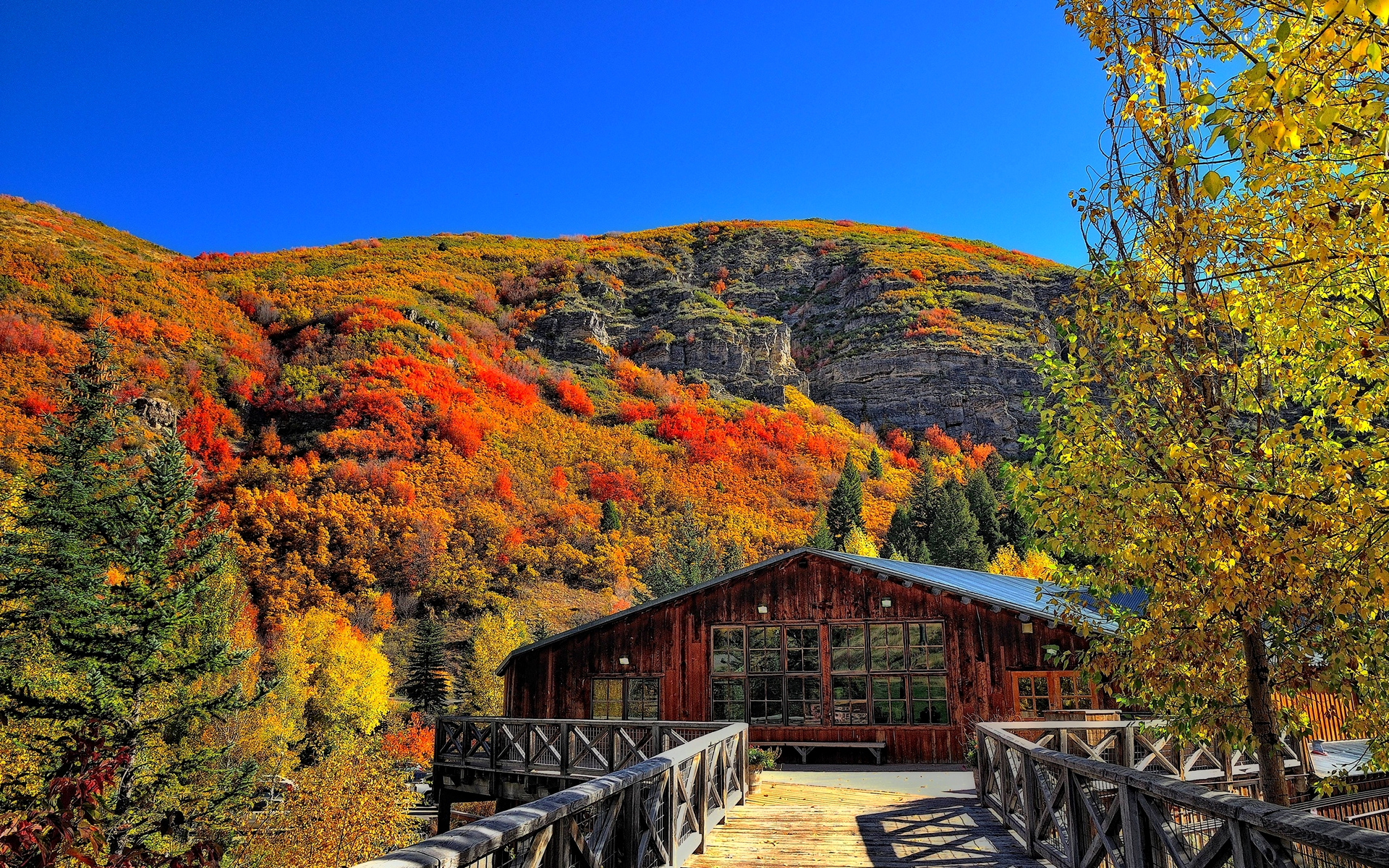 utah, alpine, provo