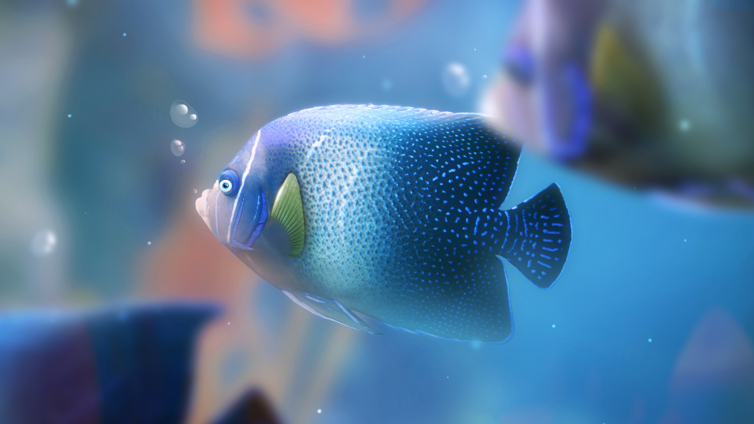 аквариум, fish