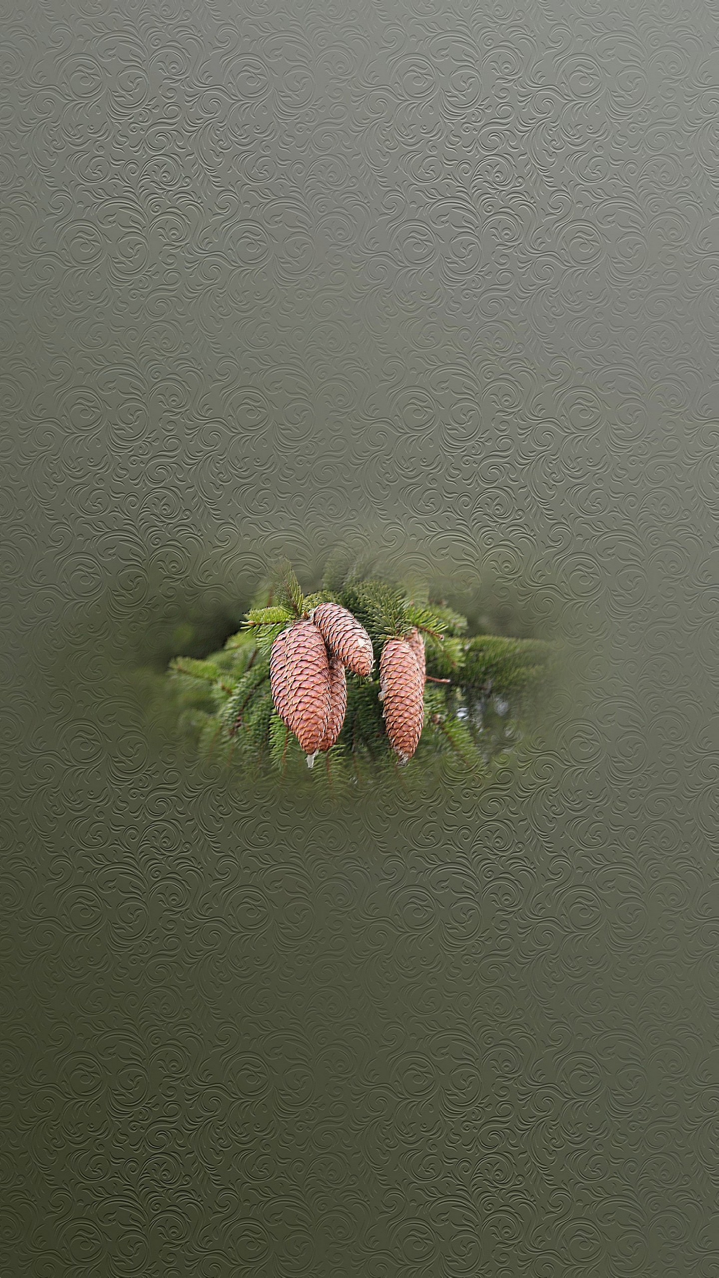цветы