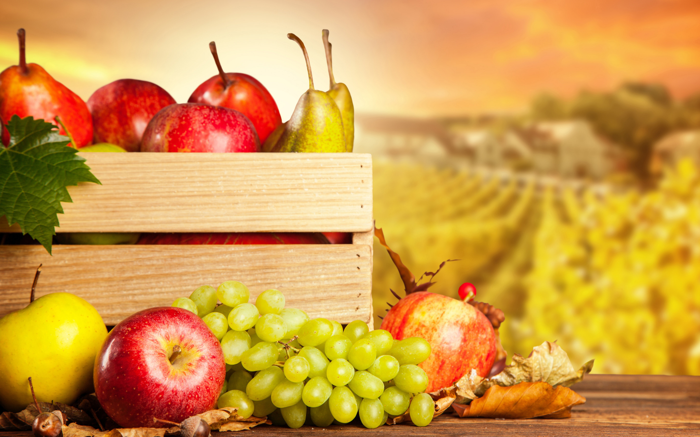 fruta, ласки, панталла