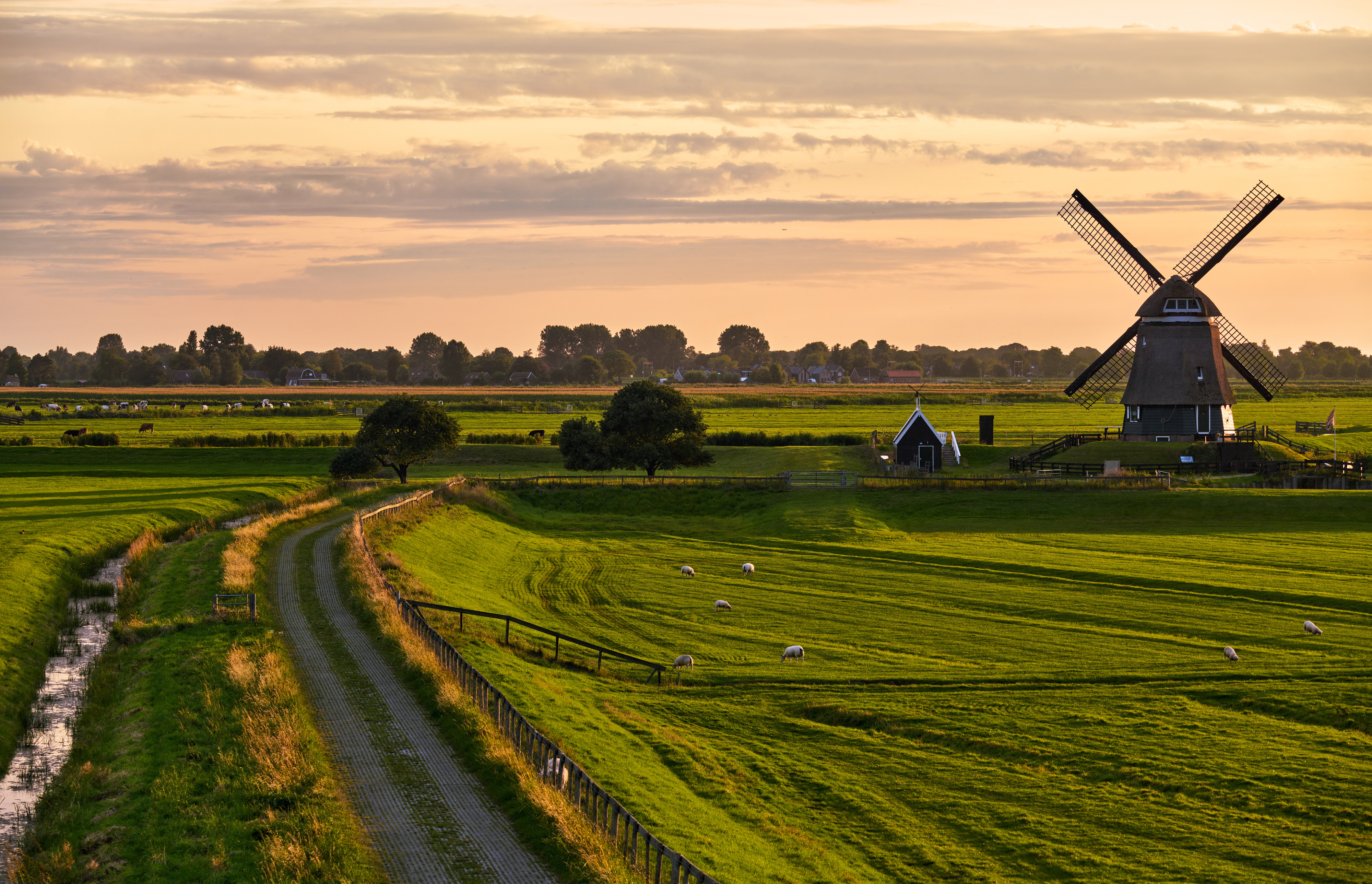 Покажи поле. Lisse Netherlands мельница. Броудс Англия ветряная мельница. Голландия природа. Нидерланды природа.