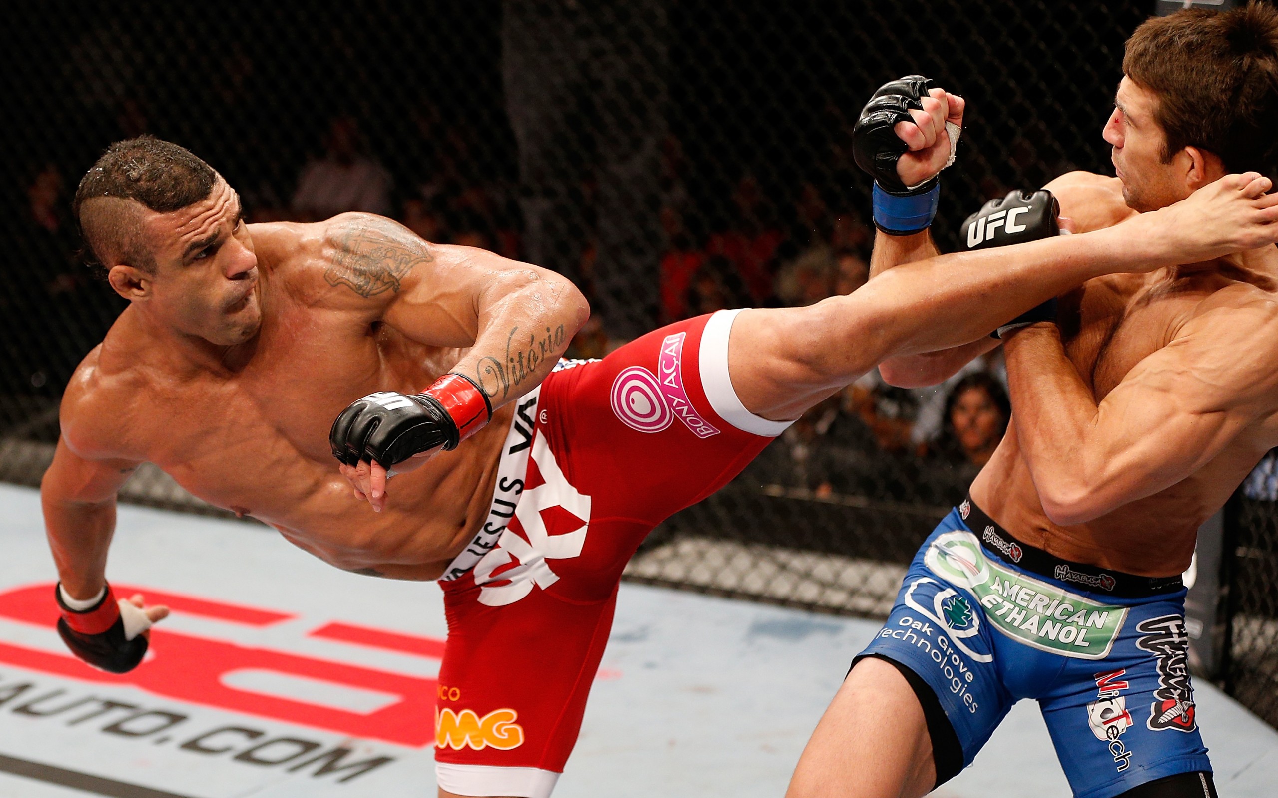 ufc, vitor, belfort