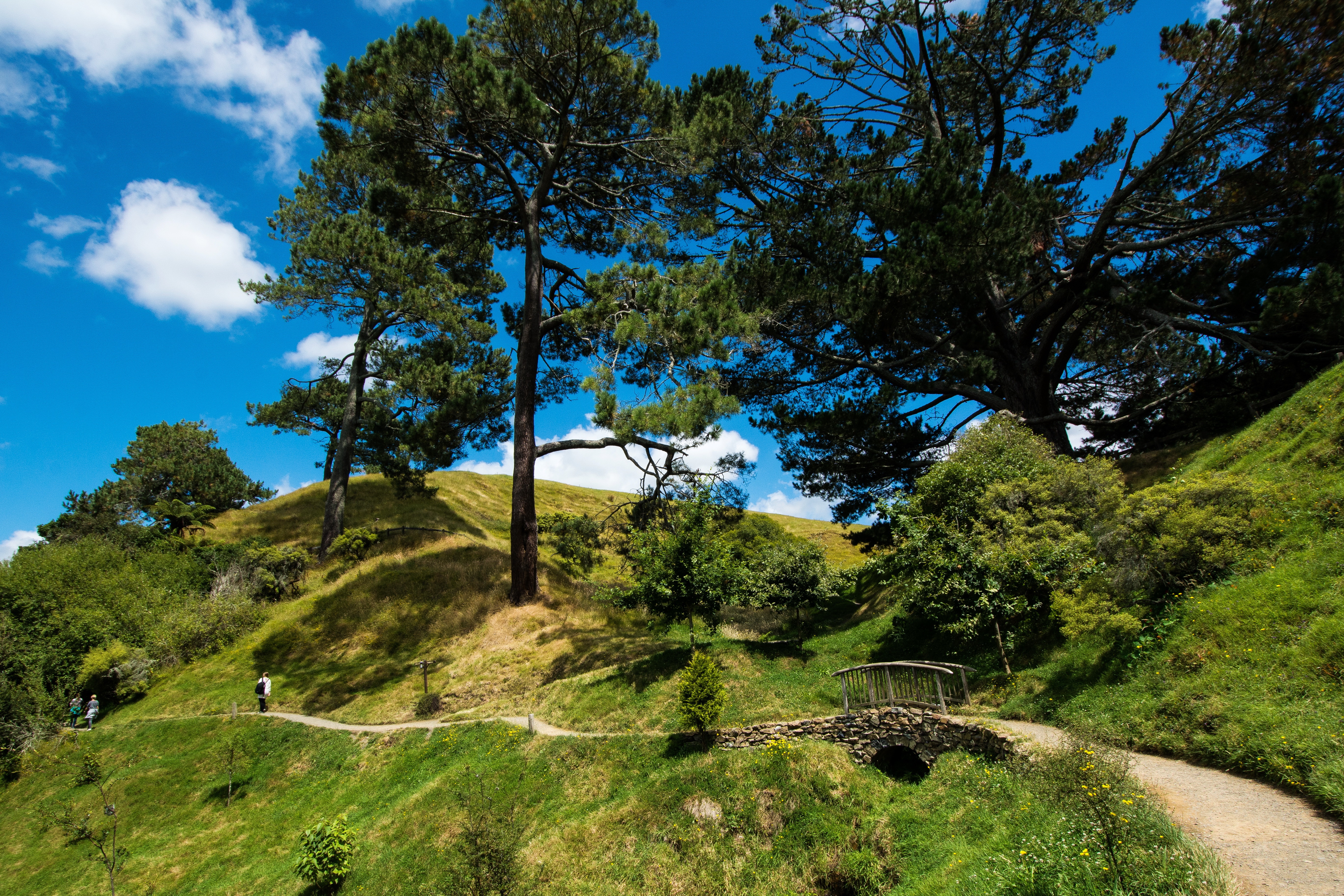matama, hobbiton, new